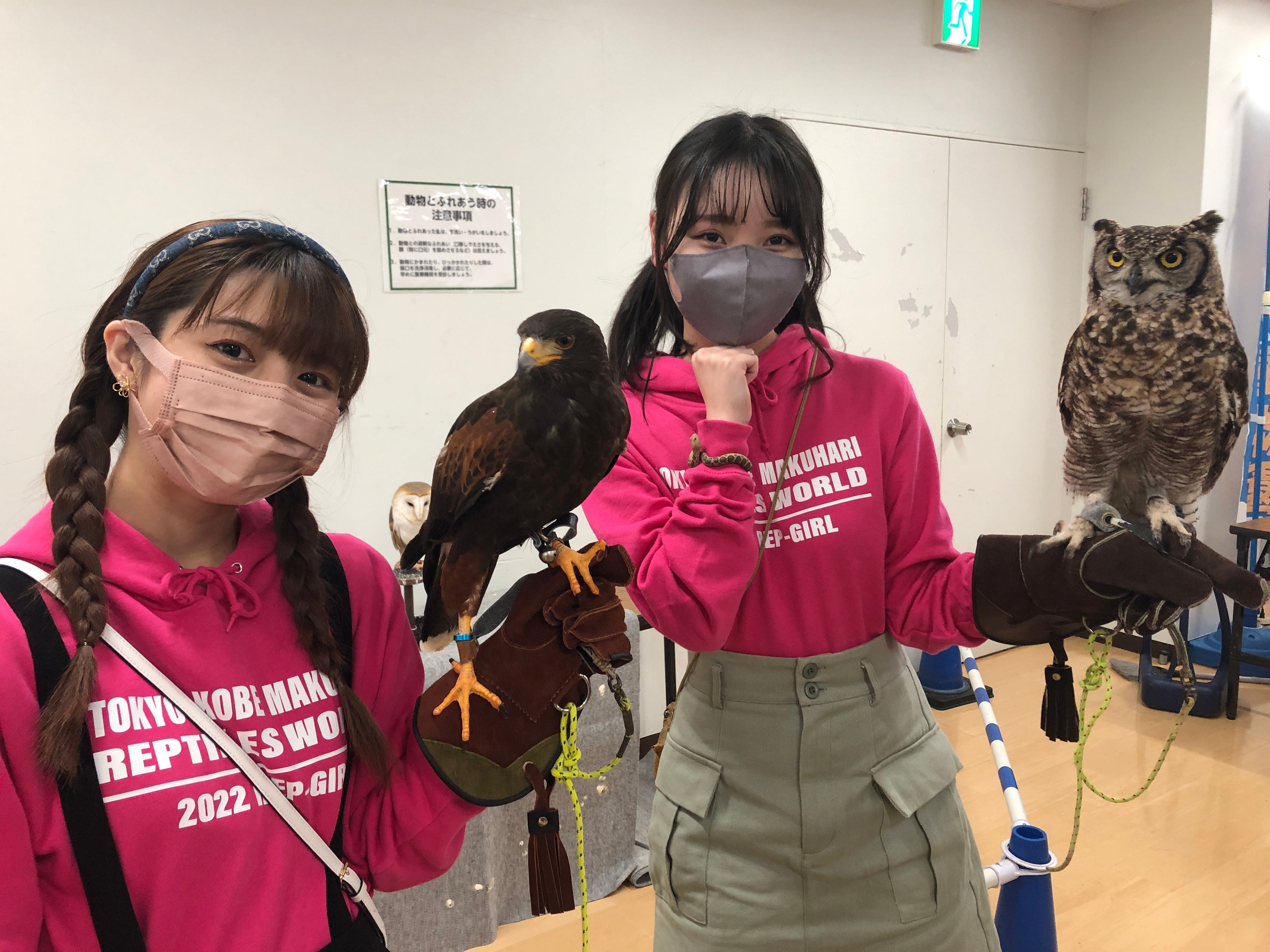 エキゾチックアニマル＆爬虫類　ふれあいコーナー