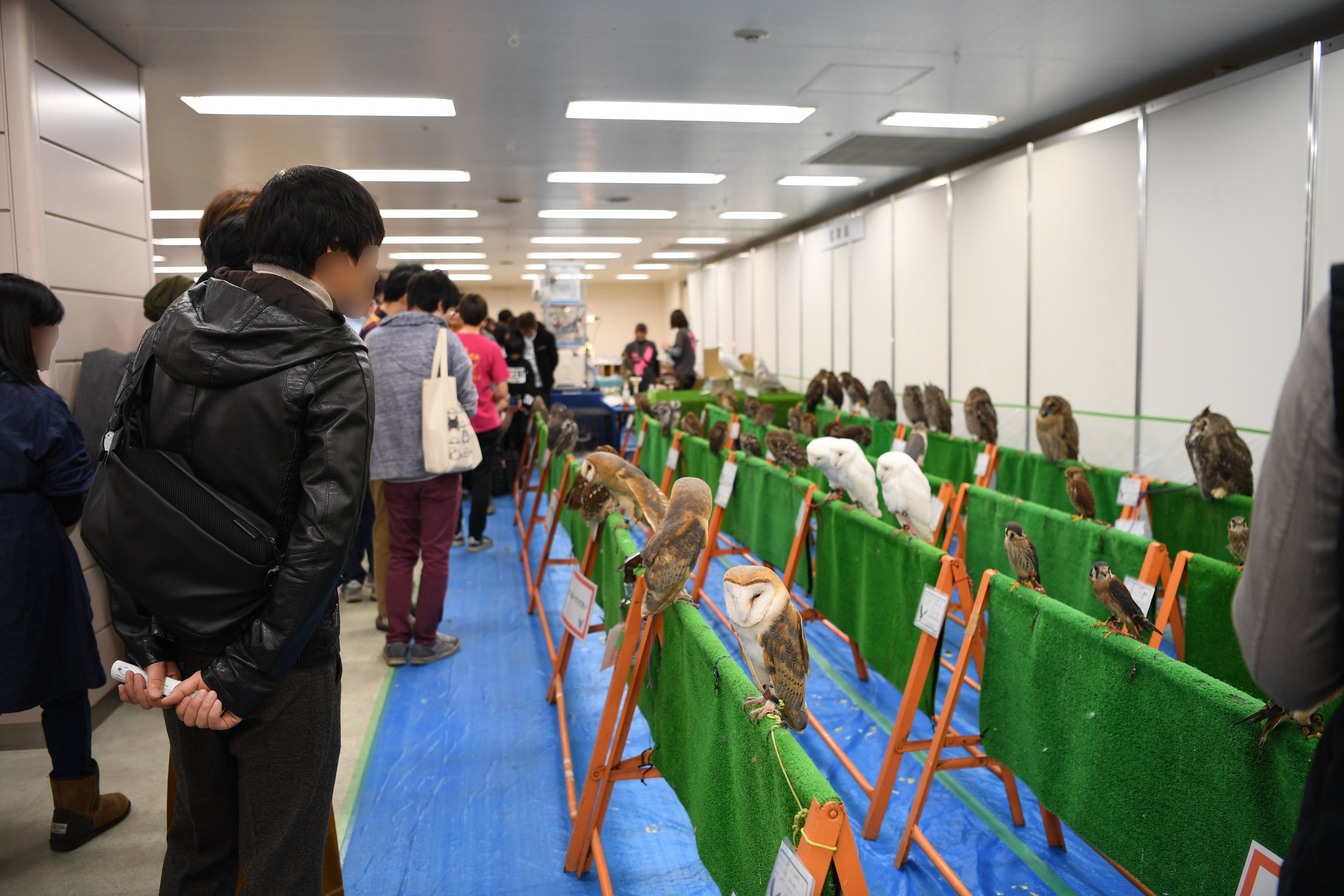 様々な動物を間近で観察できるのも魅力