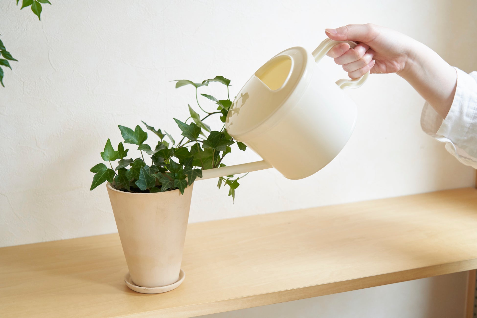 お部屋やベランダの観葉植物 野菜を元気に 液体たい肥 土いきかえる 室内 ベランダガーデニング用 新発売 環境大善株式会社のプレスリリース お部屋やベランダの観葉植物 野菜を元気に 液体たい肥 土いきかえる 室内 ベランダガーデニング用 新発売 環境大善株式会社のプレスリリース