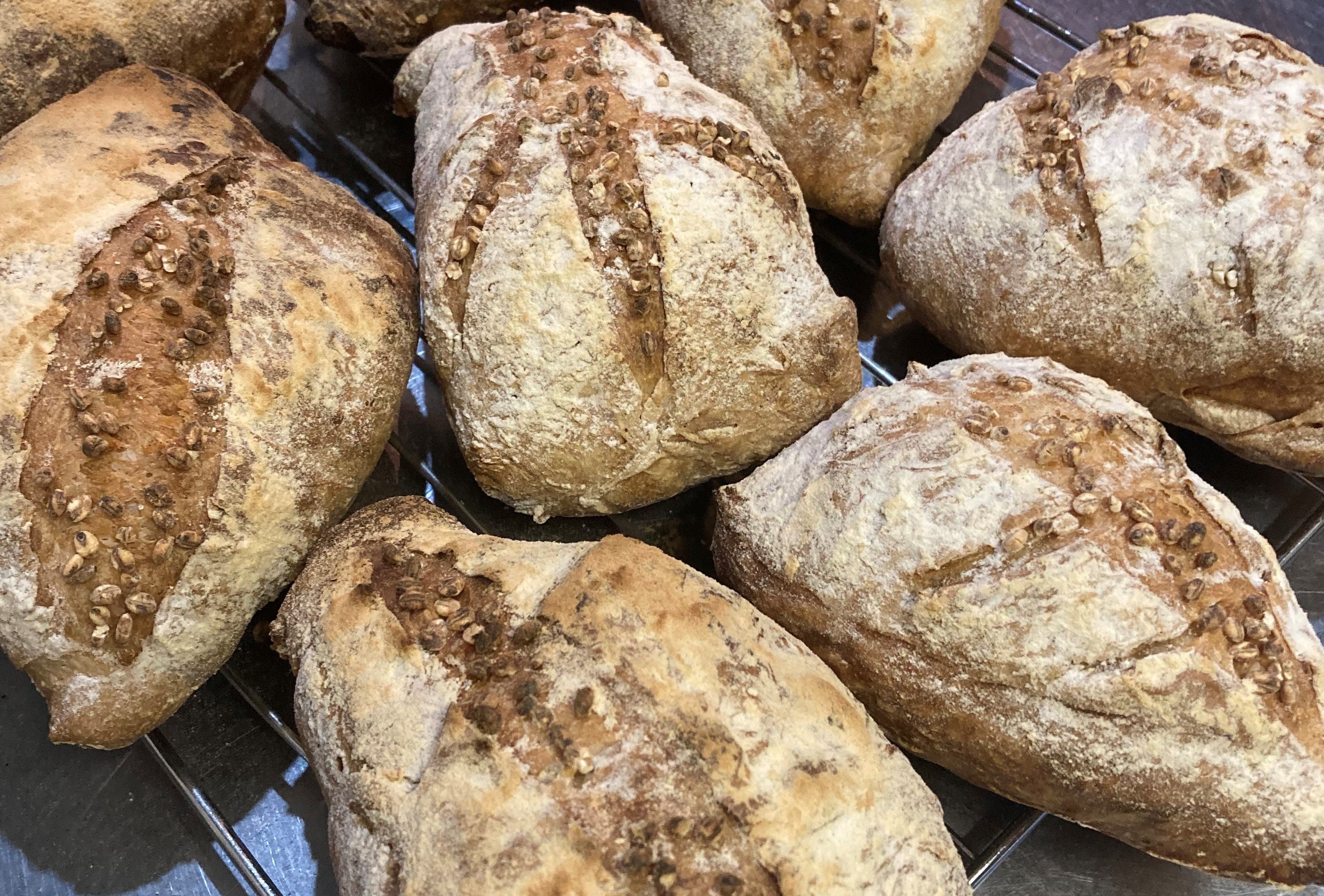 マッシュルーム：はだか麦入りの自家製パン