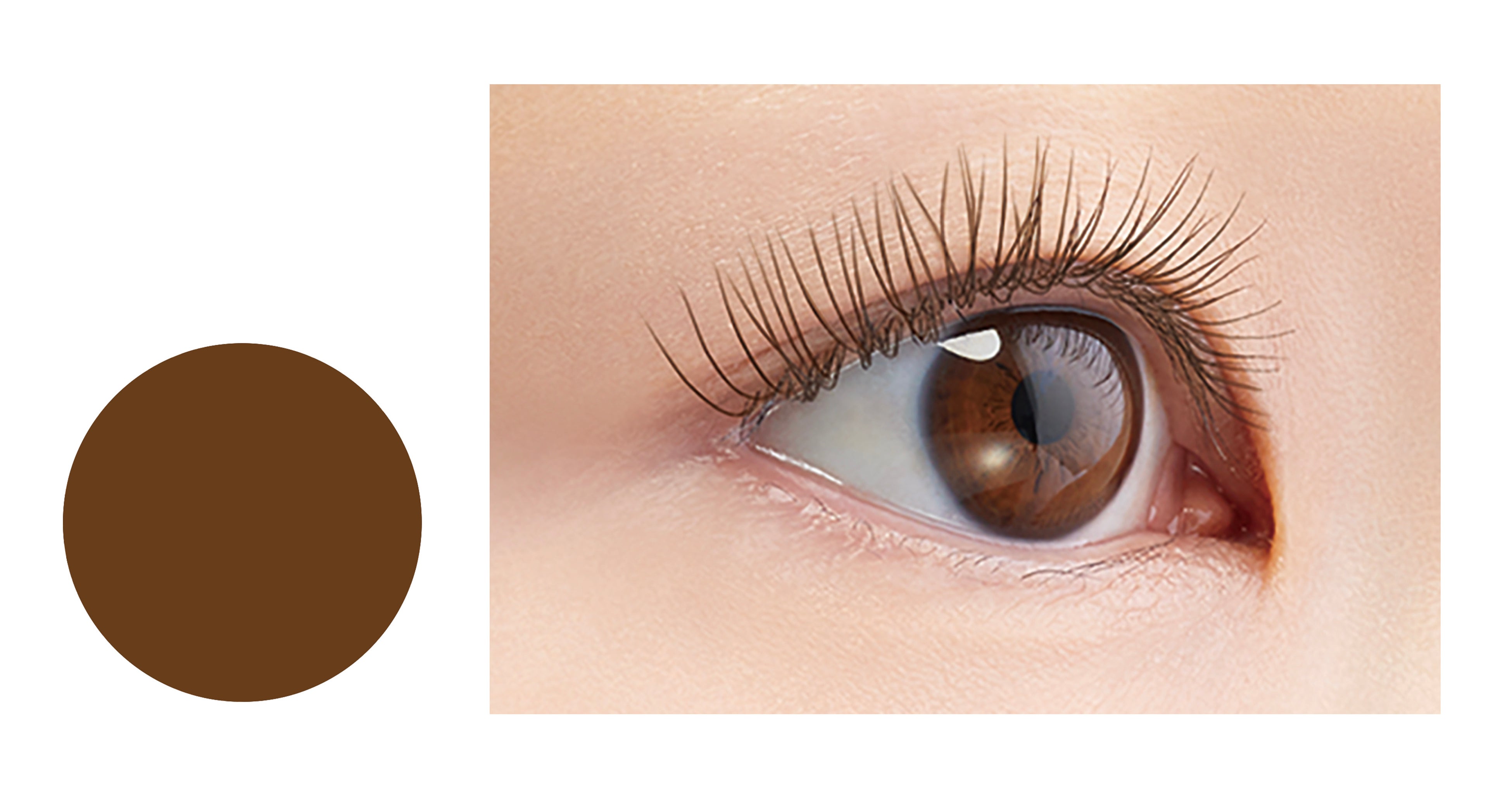 アイプチ®　ひとえ・奥ぶたえ用マスカラ ＜ブラウンブラック＞（仕上がりイメージ）