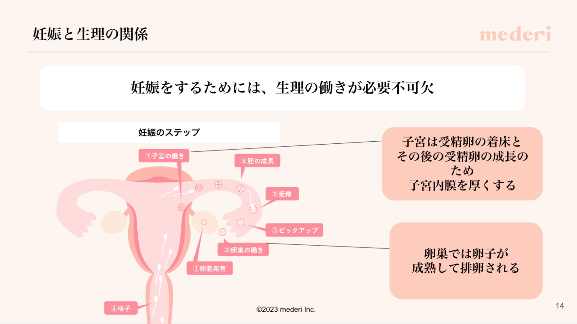 初中生 生理 レポート】mederi が中学生を対象とした「生理に関する出張授業」を実施! | mederi株式会社のプレスリリース