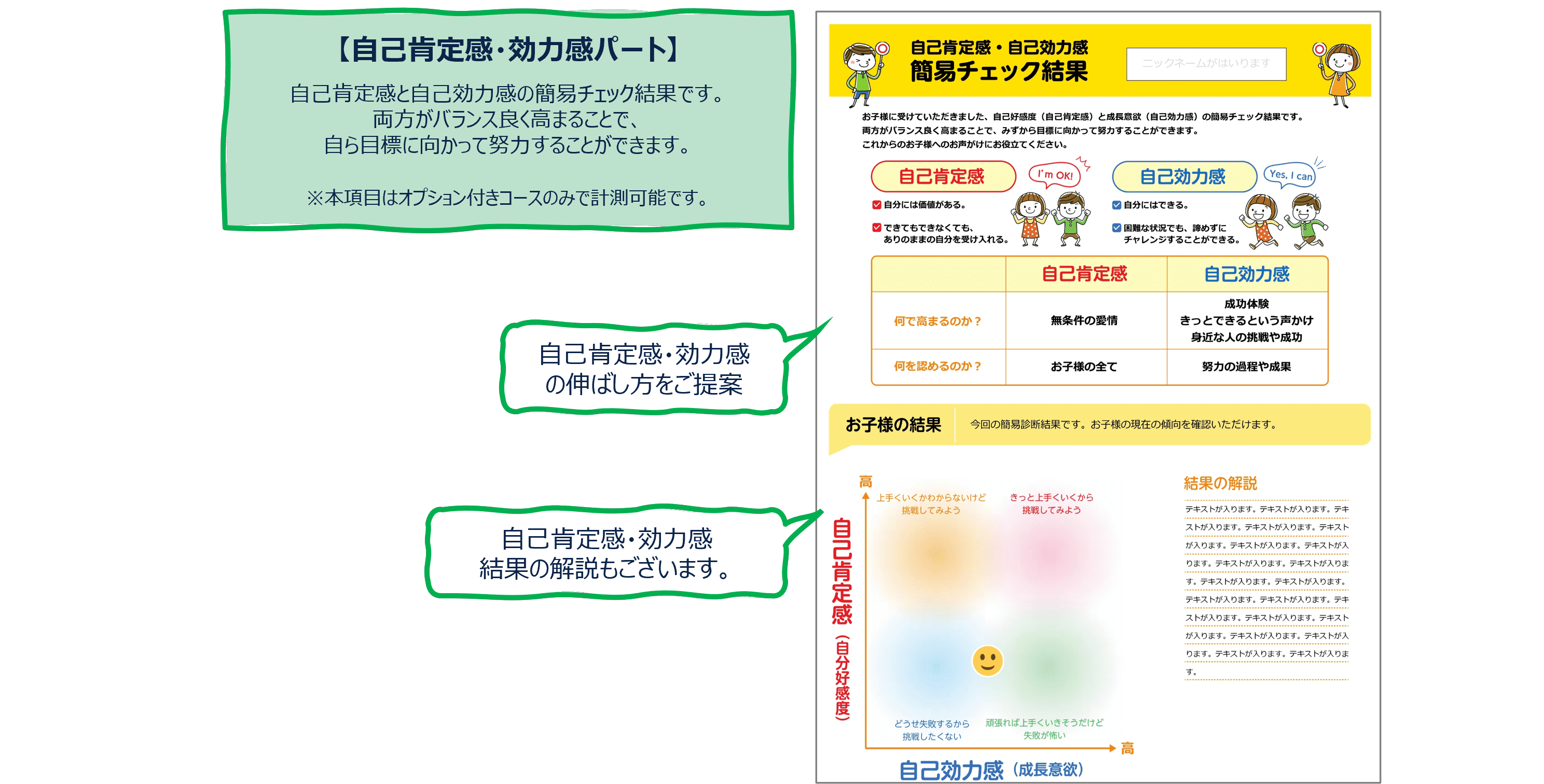 レポートイメージ オプション部分
