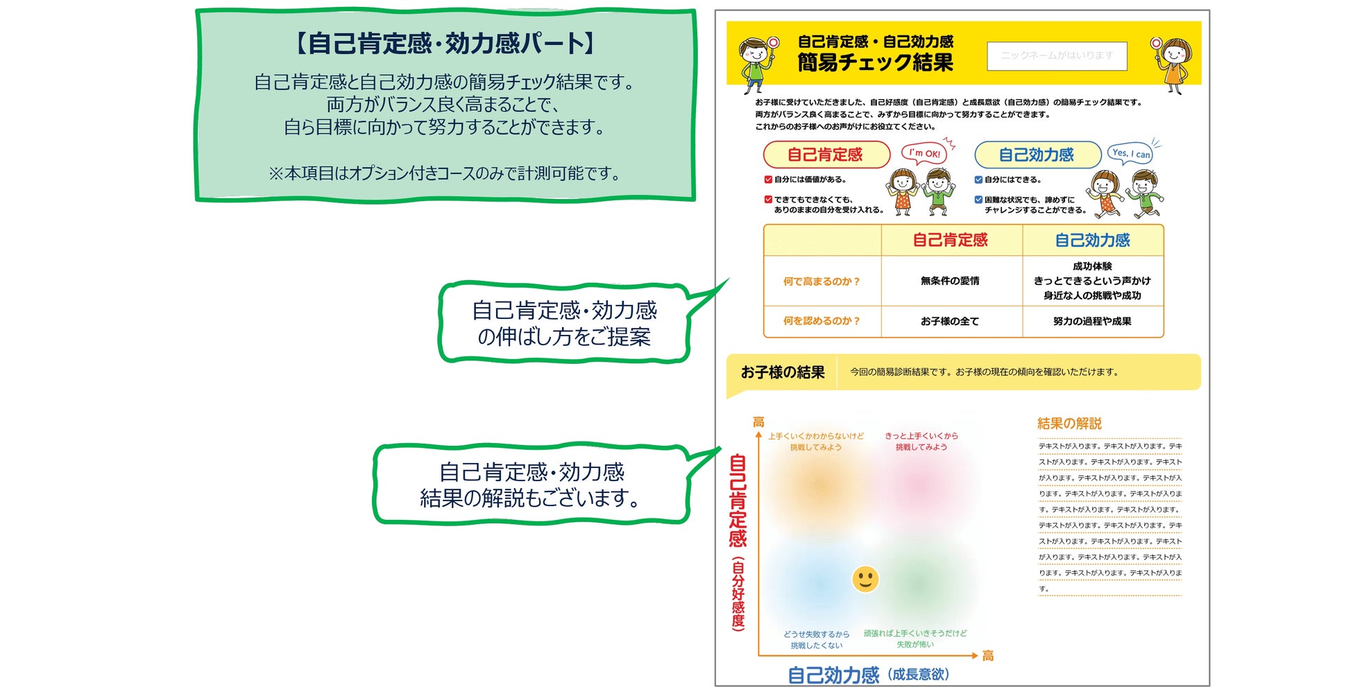 レポートイメージ オプション部分