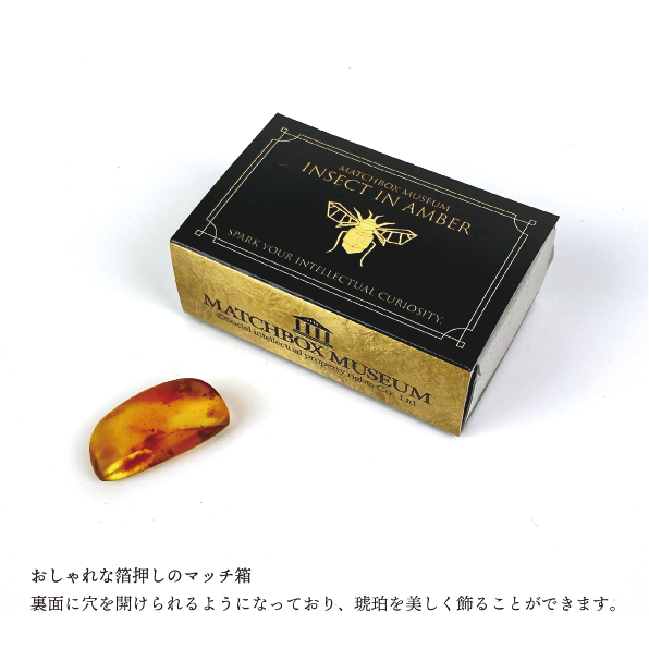 置物虫入琥珀 鉱物・化石の京都ぎおん石