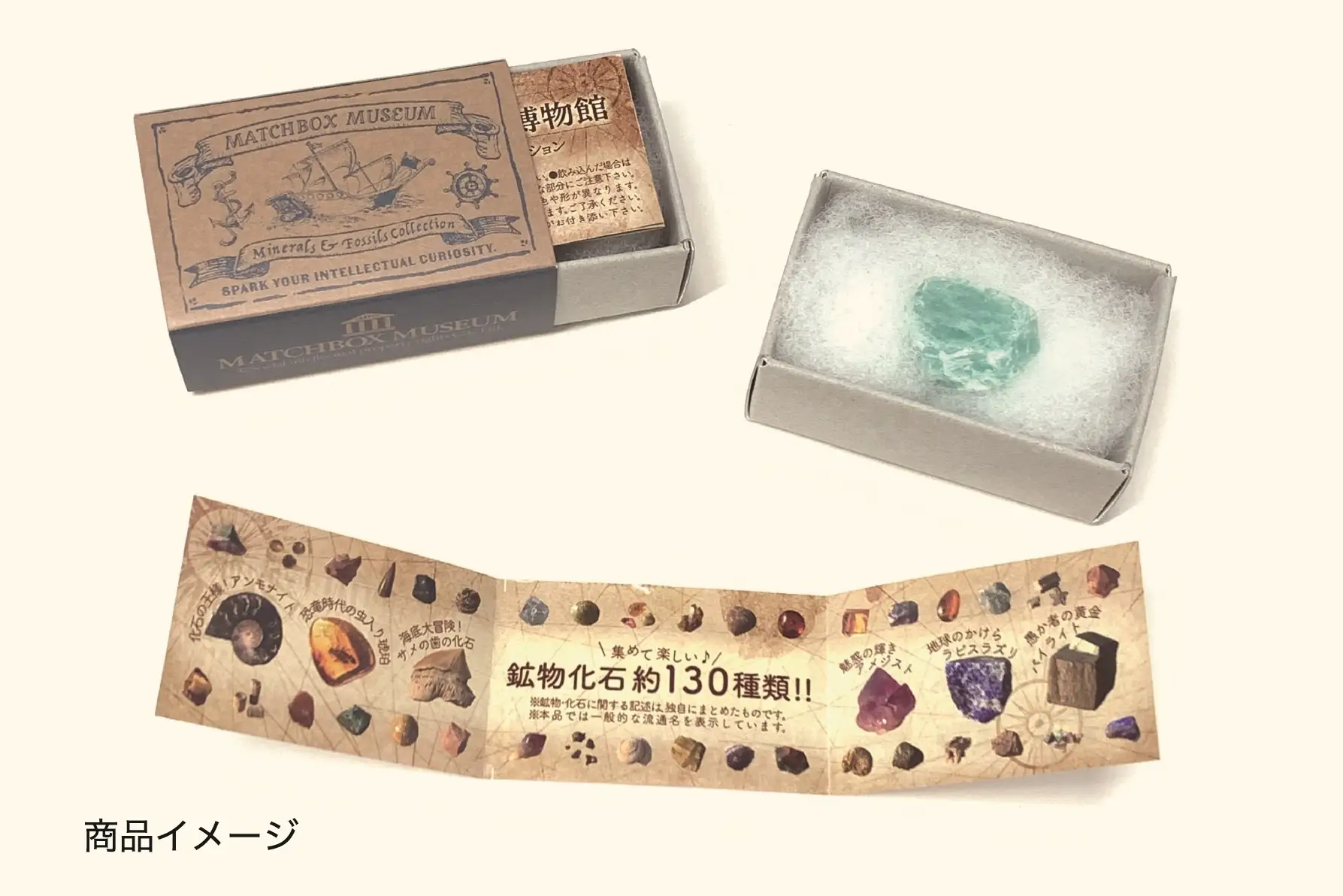 マッチ箱博物館 鉱物と化石のコレクション」が今だけ「恐竜時代