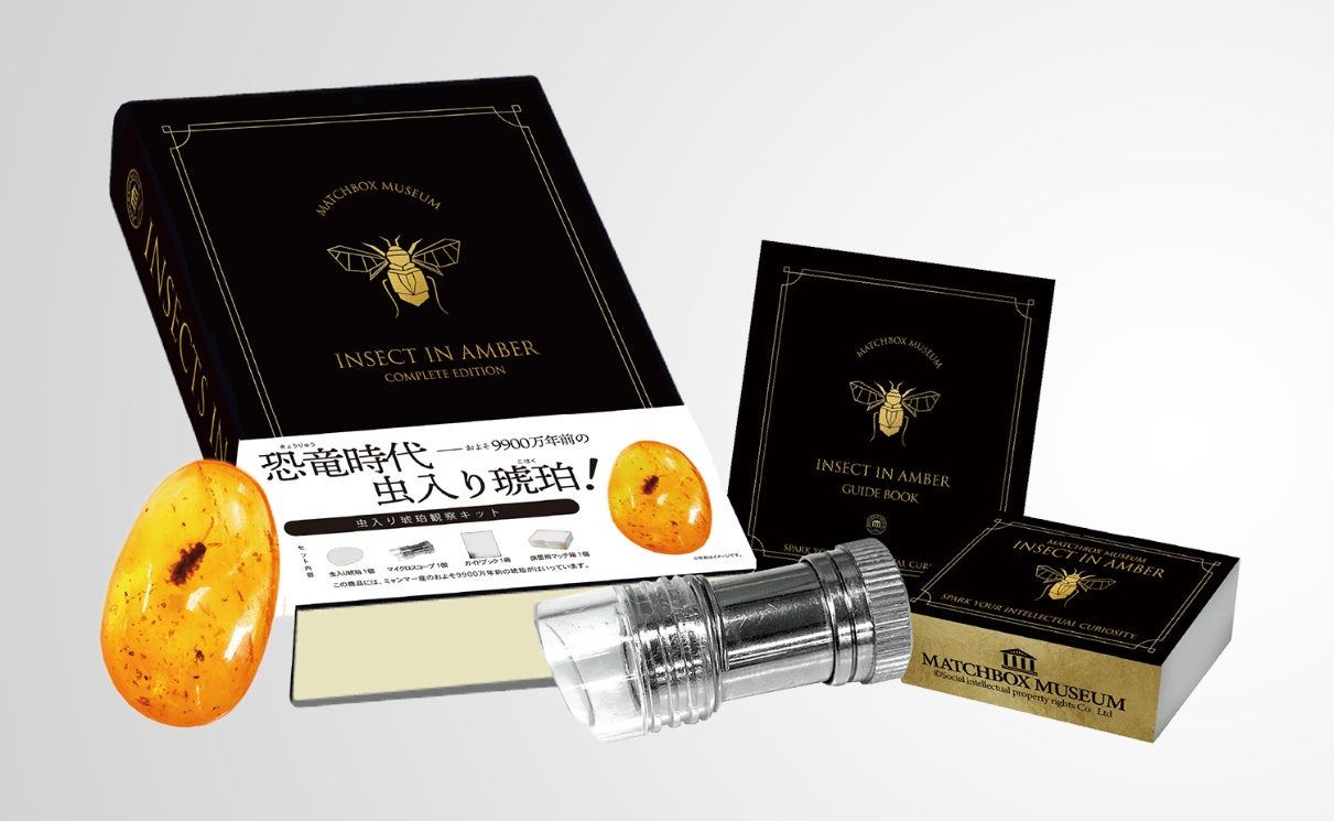 商品イメージ：虫入り琥珀のコレクション 完全版