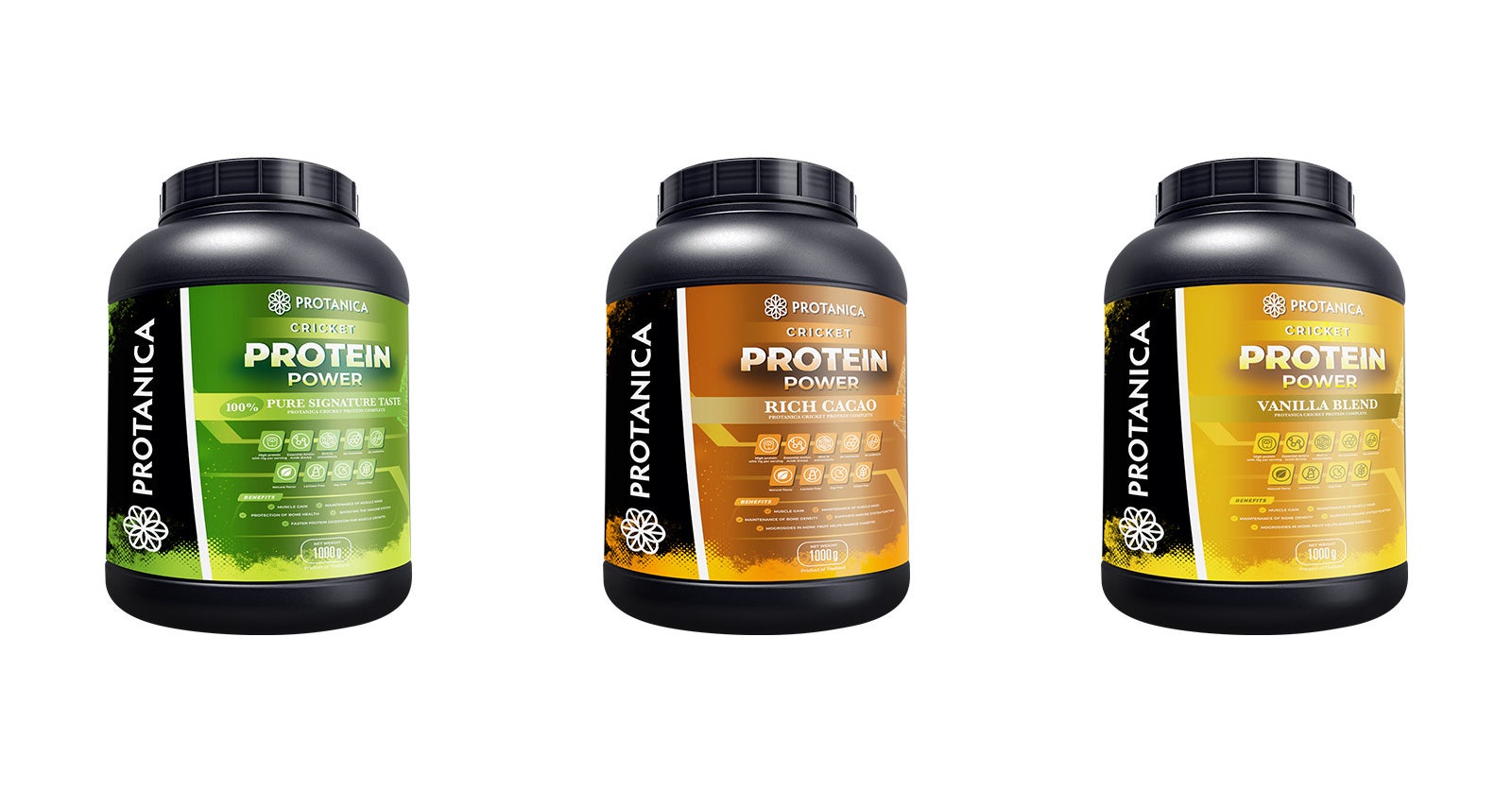 左からピュアコオロギ風味、ココア風味、バニラ風味