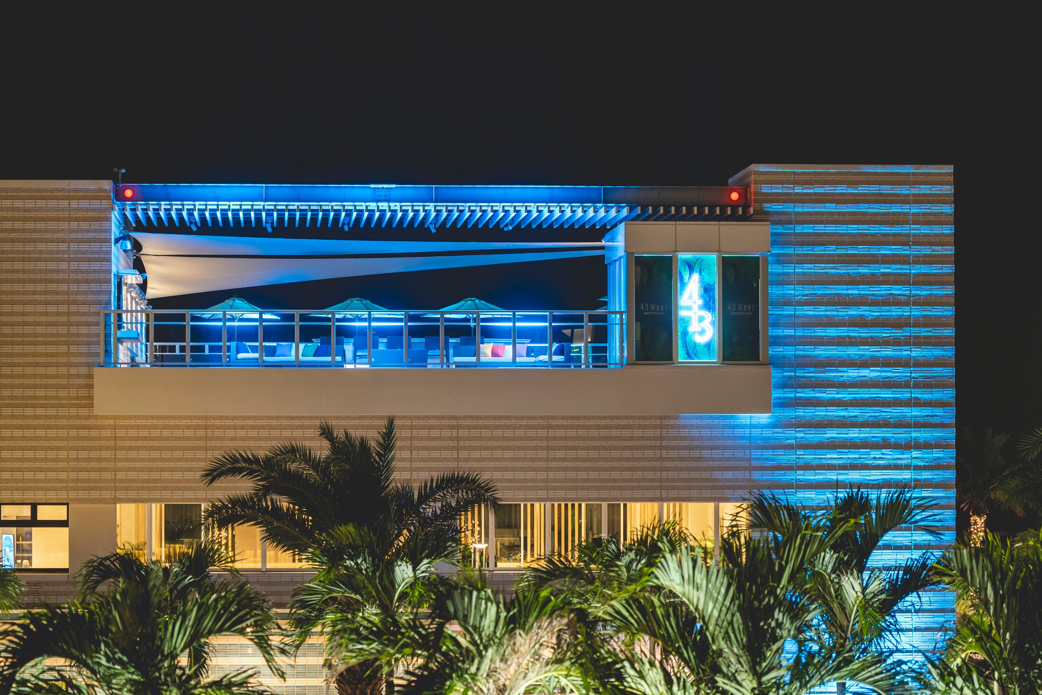 ヤシの木が囲う43ウェストルーフトップバーの外観