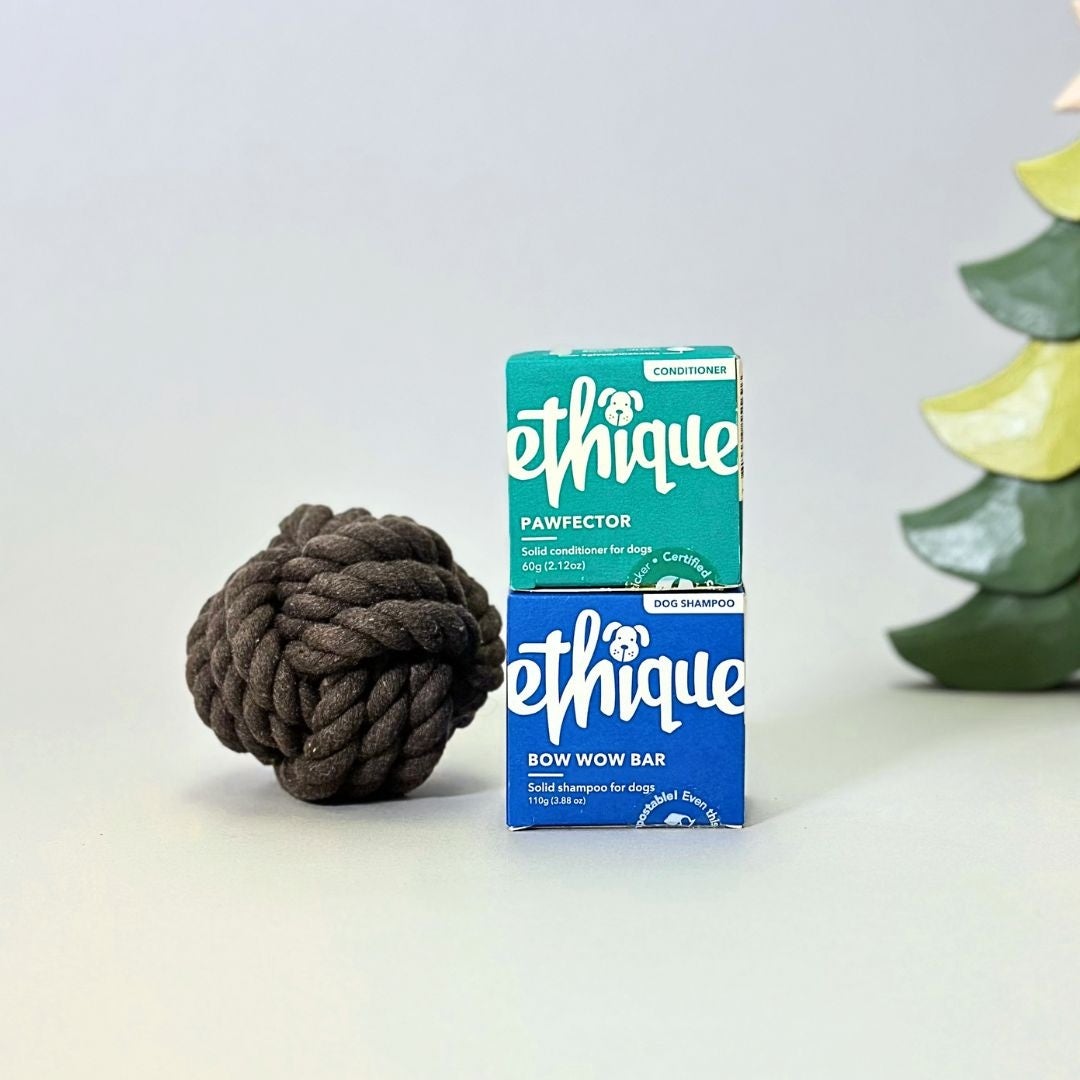 【期間限定】ホリデー ペットキット（メッセージカード付）