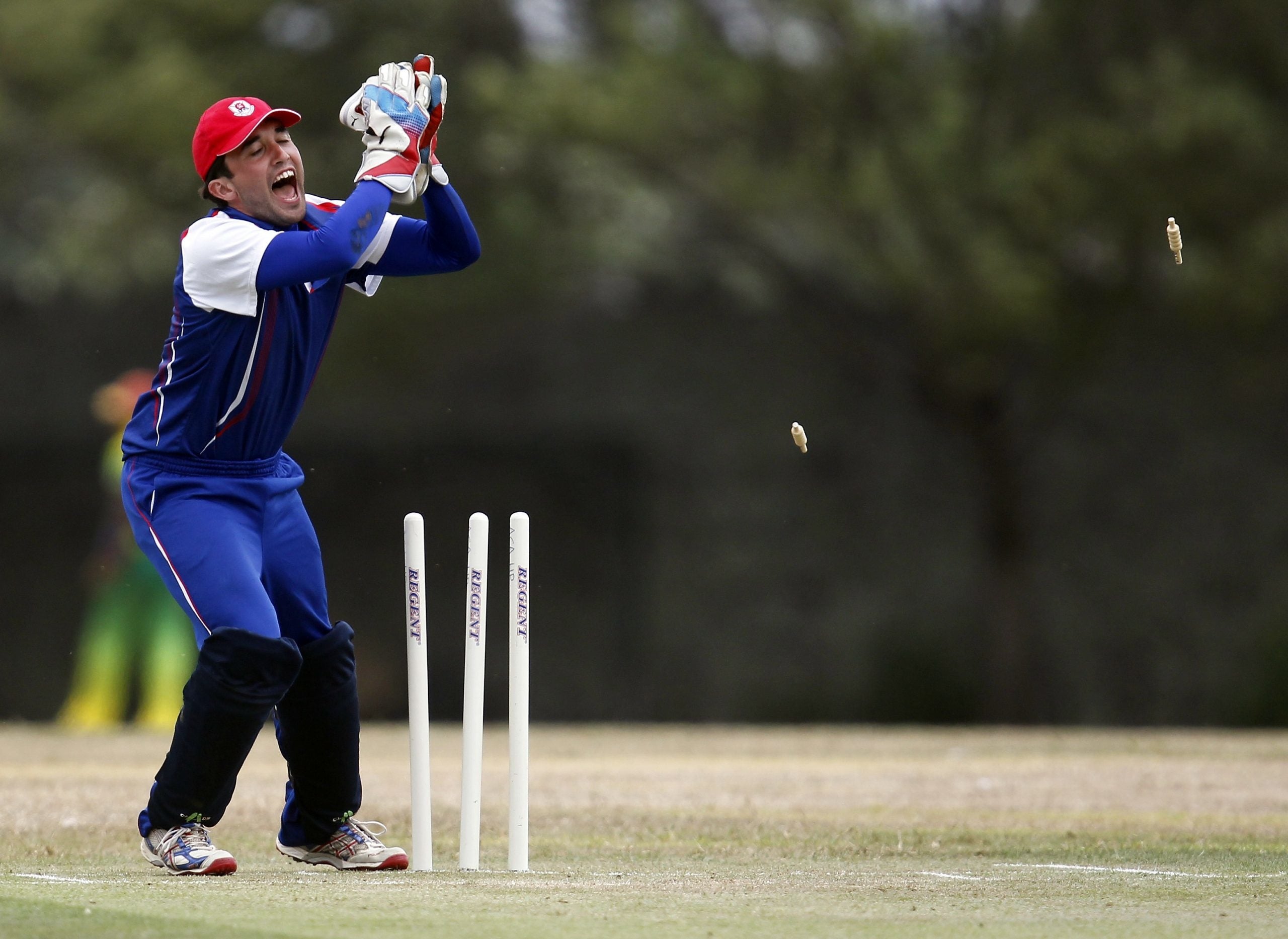 22年クリケット日本代表強化選手団 男 女 及びナショナルアカデミー発表 スポーツマニア
