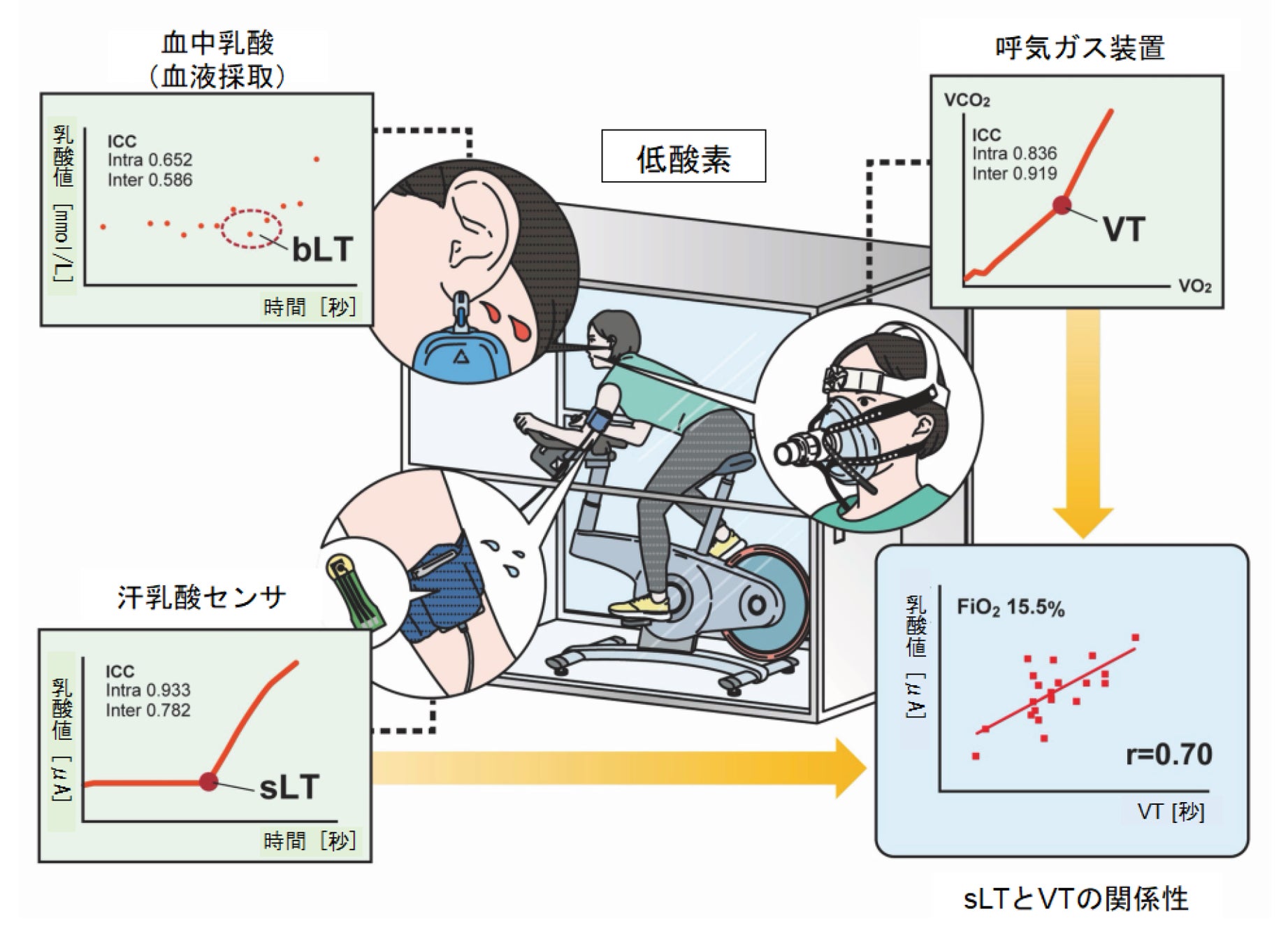 低酸素トレーニング 低酸素トレーニングでの運動負荷レベルを簡便に決定可能な評価