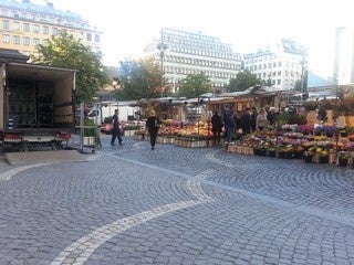 カラフルな楽しみ!いろどりフェスティバリ2024年4月13日(土)14日(日)開催♪ カラフルな楽しみ!いろどりフェスティバリ2024年4月13日(土)14日(日)開催♪