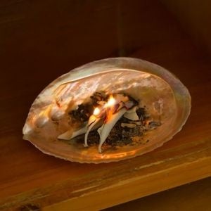 聖なる浄化ハーブ ホワイトセージ が新登場 お家での使い方や特徴など 半年で販売量9倍と急成長の浄化アイテムに新たに神聖な香り漂う ホワイトセージ が加わりさらにパワーアップ 株式会社greeneryのプレスリリース 聖なる浄化ハーブ ホワイトセージ が新登場 お家での使い方や特徴など 半年で販売量9倍と急成長の浄化アイテムに新たに神聖な香り漂う ホワイトセージ が加わりさらにパワーアップ 株式会社greeneryのプレスリリース