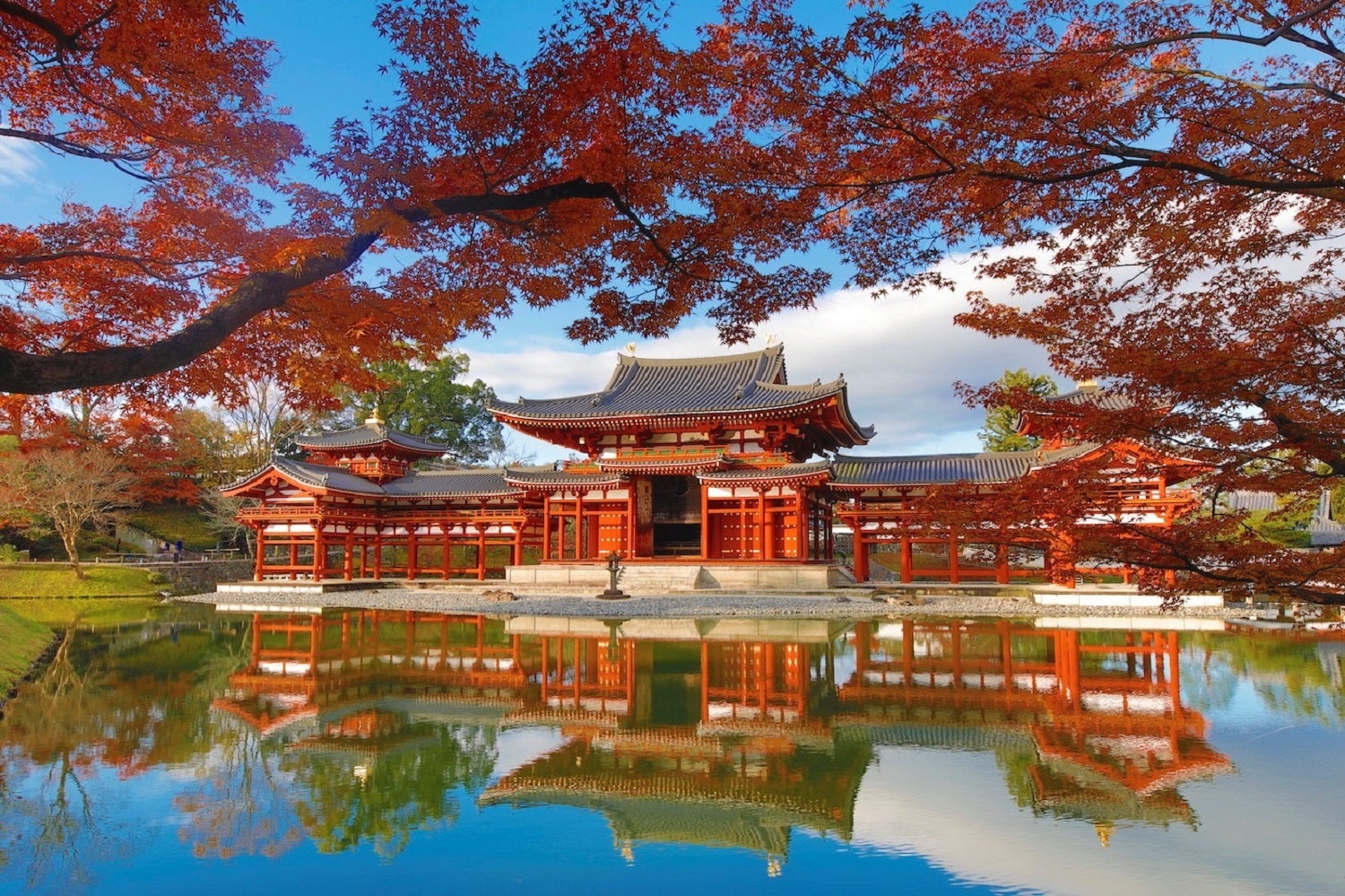 写真提供：平等院