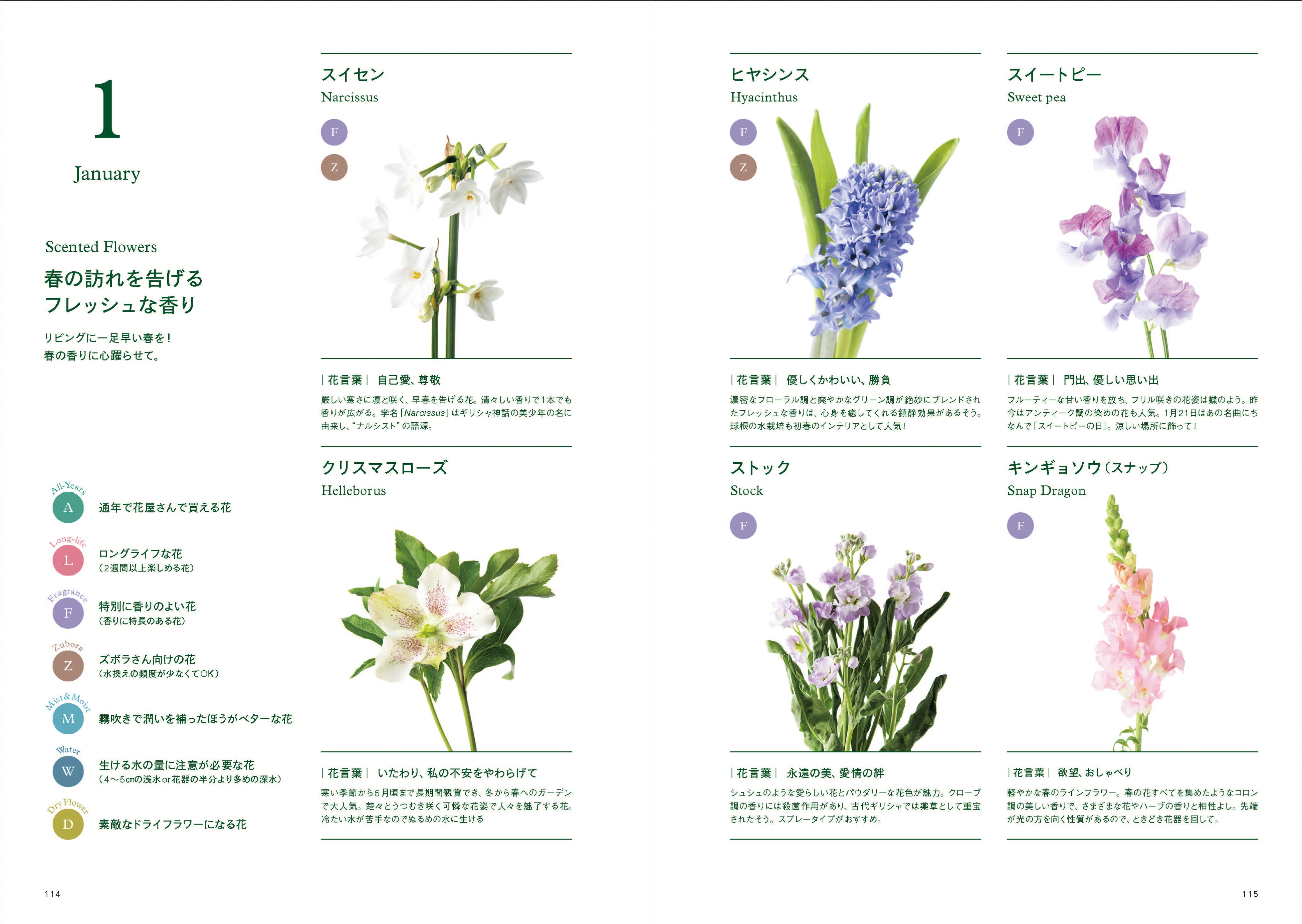 『花と器の素敵な合わせ方』第6章12ヶ月の旬の花がわかる図鑑より