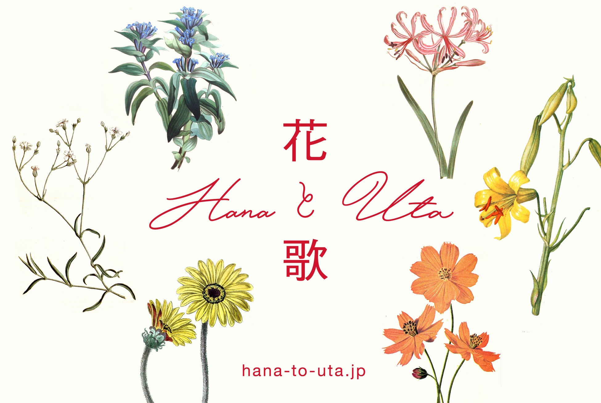 敬老の日 ふだん言えない気持ちを花と歌 短歌 に込めて届けるaiメッセンジャー 花と歌 特設サイトを9 1 木 から限定公開 Hana To Uta Jp 一般社団法人花の国日本協議会のプレスリリース 敬老の日 ふだん言えない気持ちを花と歌 短歌 に込めて届けるaiメッセンジャー 花と歌 特設サイトを9 1 木 から限定公開 Hana To Uta Jp 一般社団法人花の国日本協議会のプレスリリース