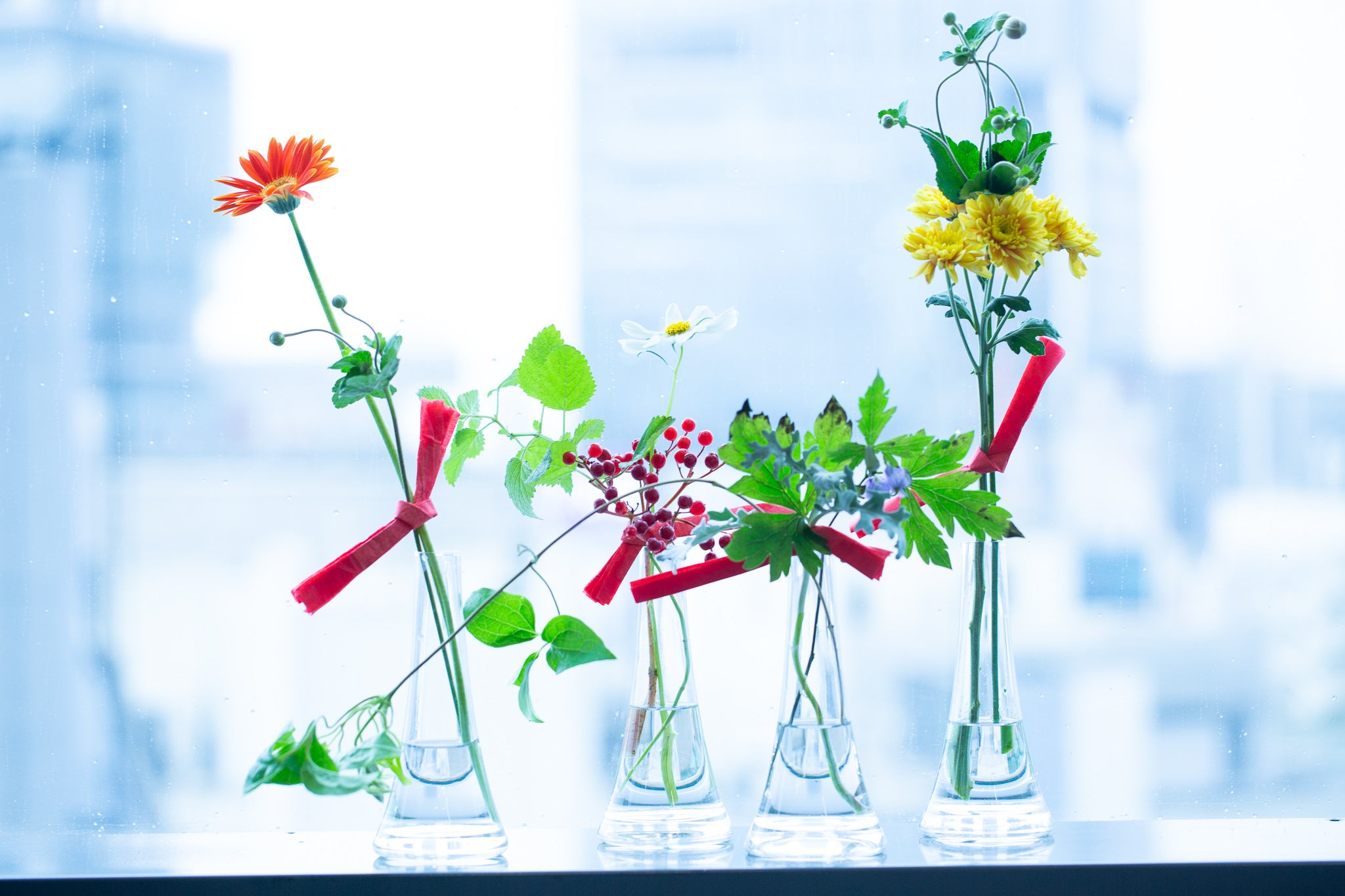 【花と歌】贈り物イメージ