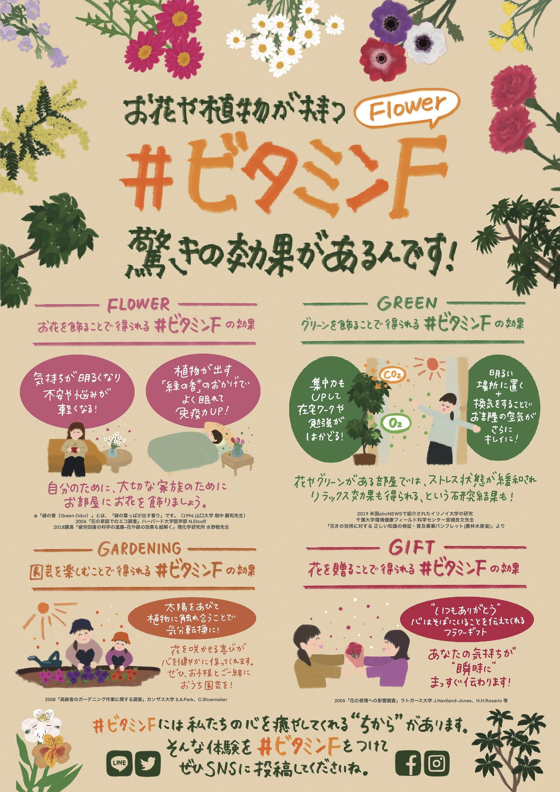 #ビタミンFチラシ