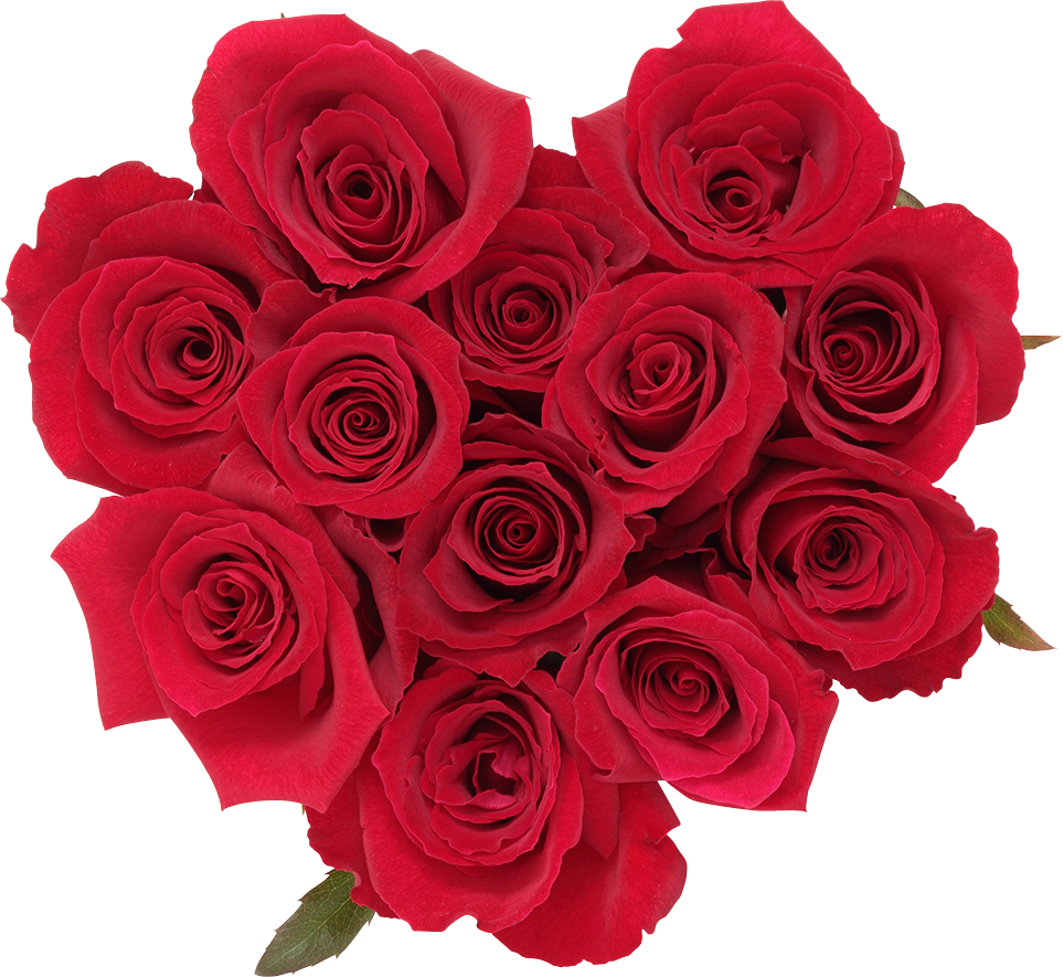 ダズンローズ　※写真はイメージです