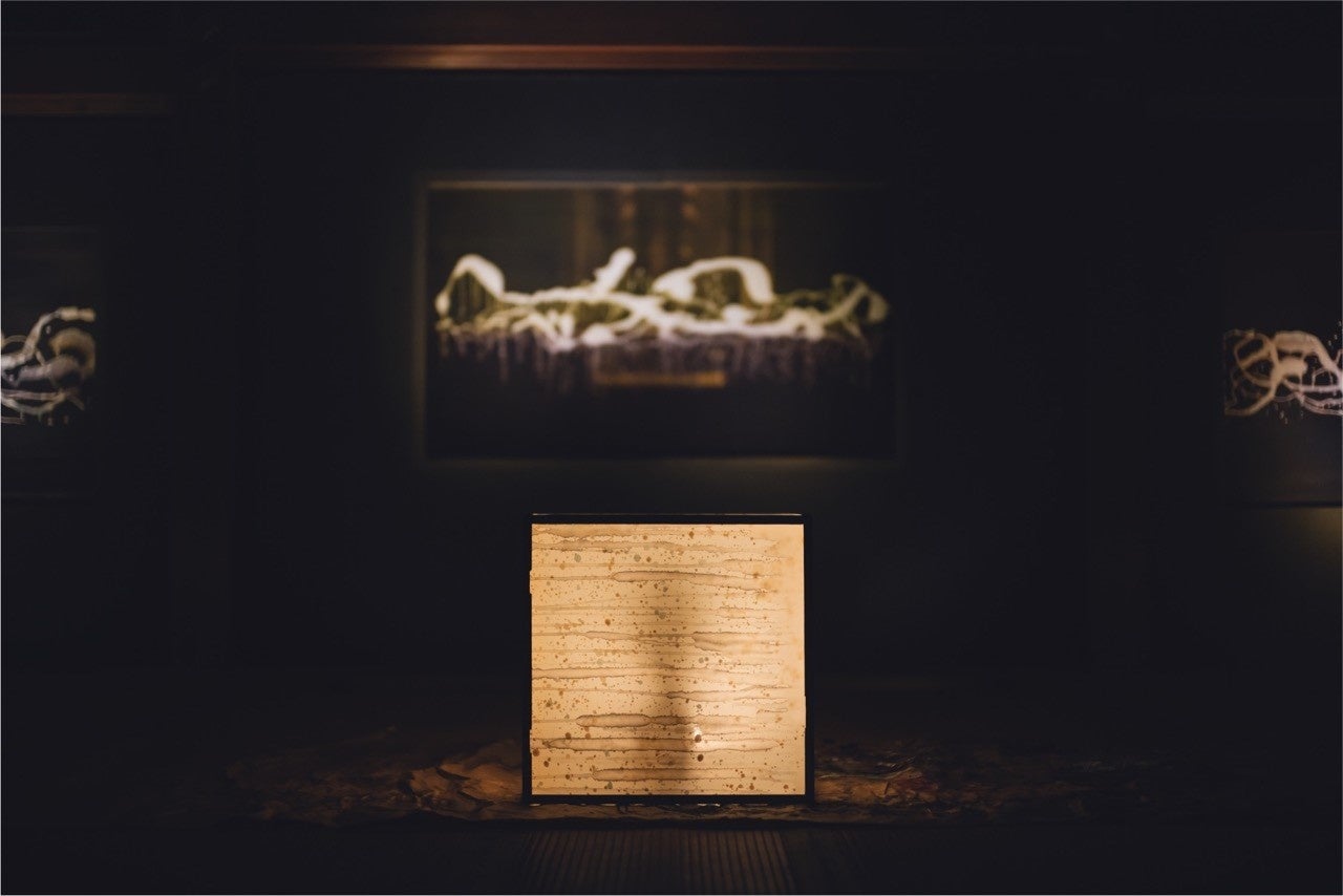 「うちにあるもの ‒Representation‒」(C) Mitsuru Wakabayashi