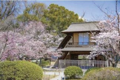 渉成園（枳殻邸） 傍花閣（ぼうかかく）