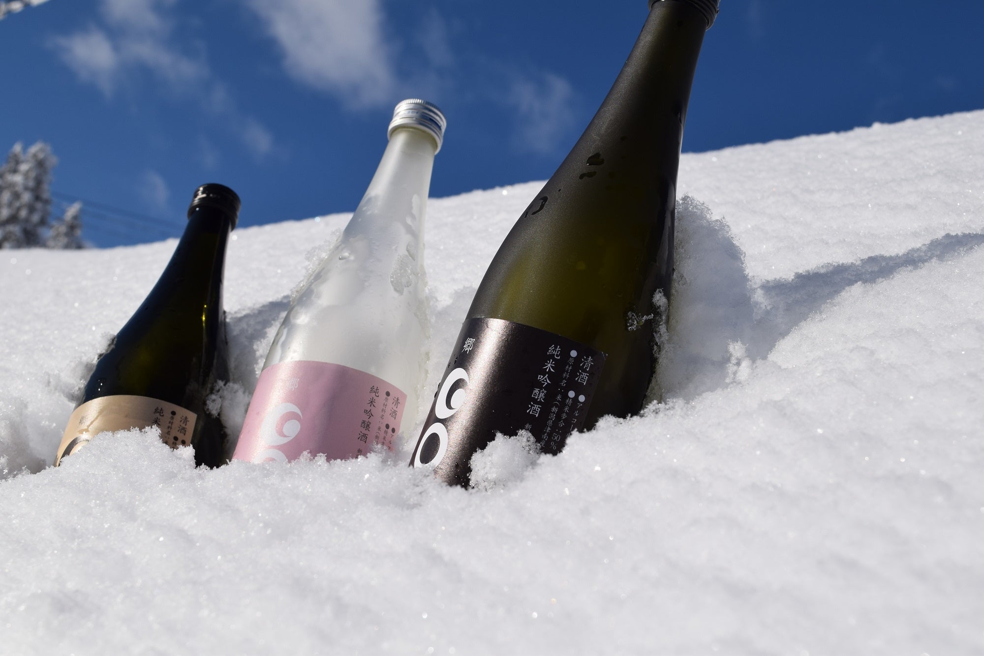 豪雪地・津南から雪と日本酒を詰めてお届け！冬季限定の「GO＆雪（ごう