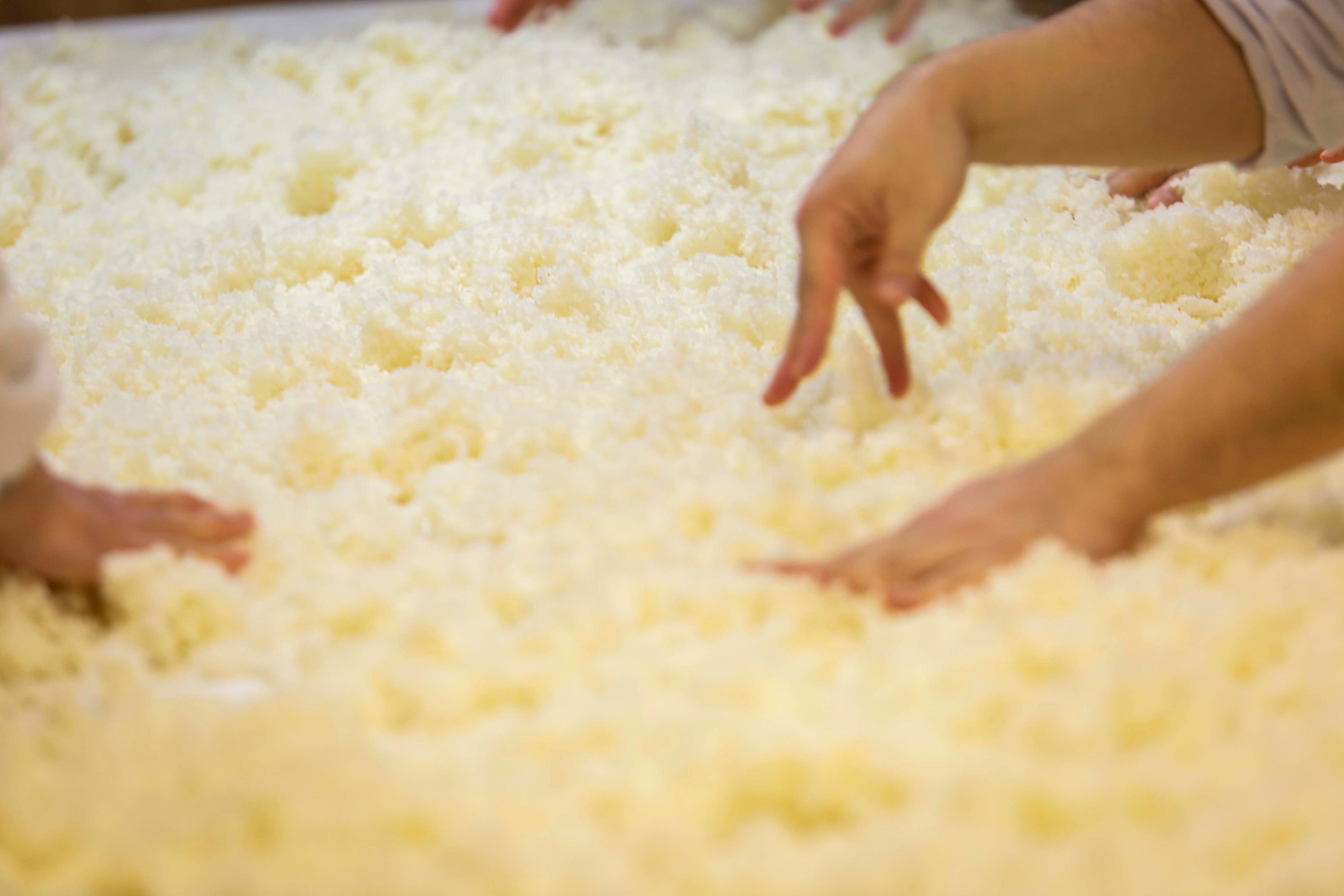 津南産の酒米「五百万石」でつくるテロワール日本酒