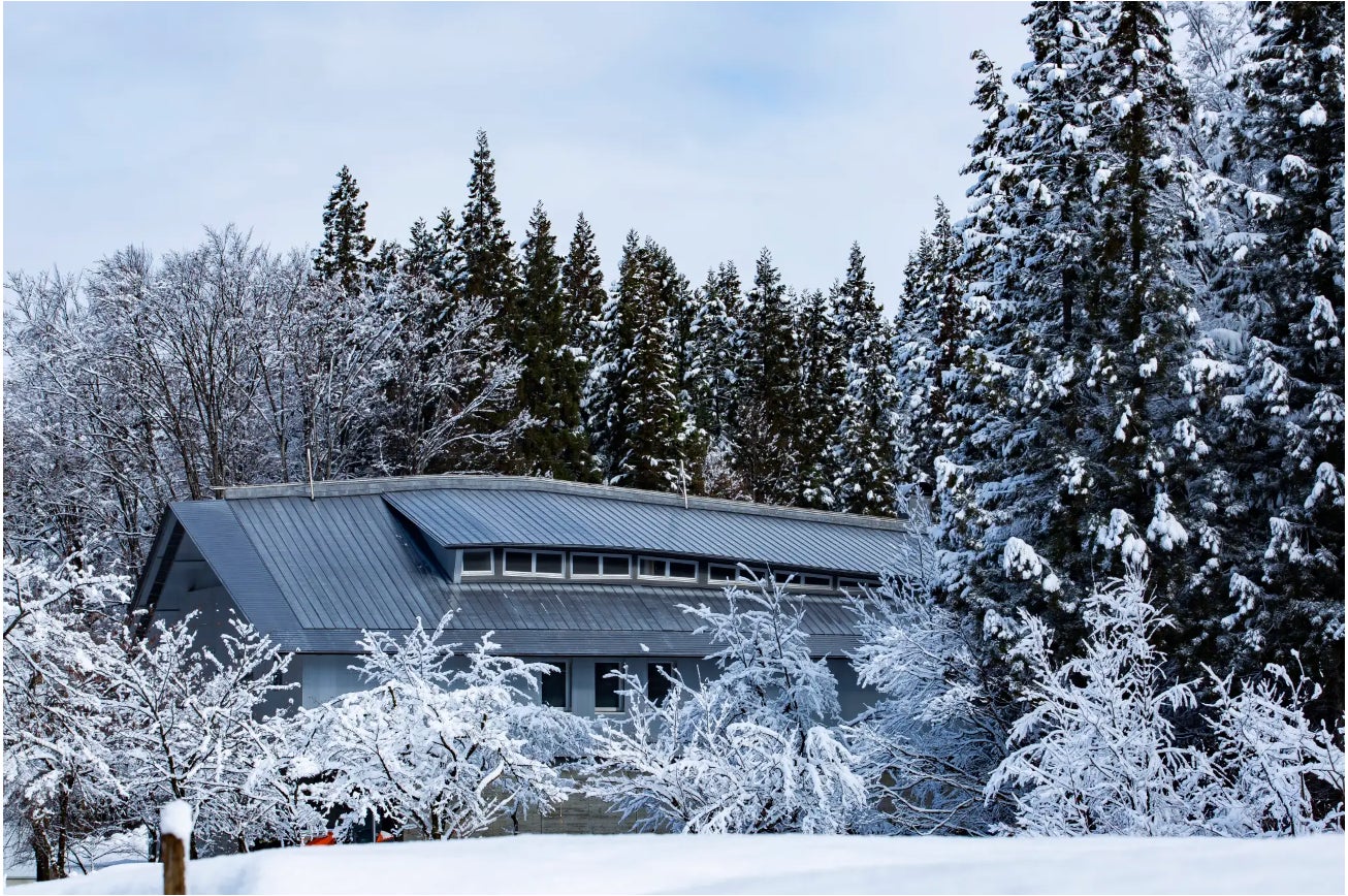 Sake,Junmai Daiginjo,Daiginjo,Junmai-shu,GO,Terroir,Travel only,Drink comparison,180ml,Tsunan,Tsunan town,Tsunan brewery