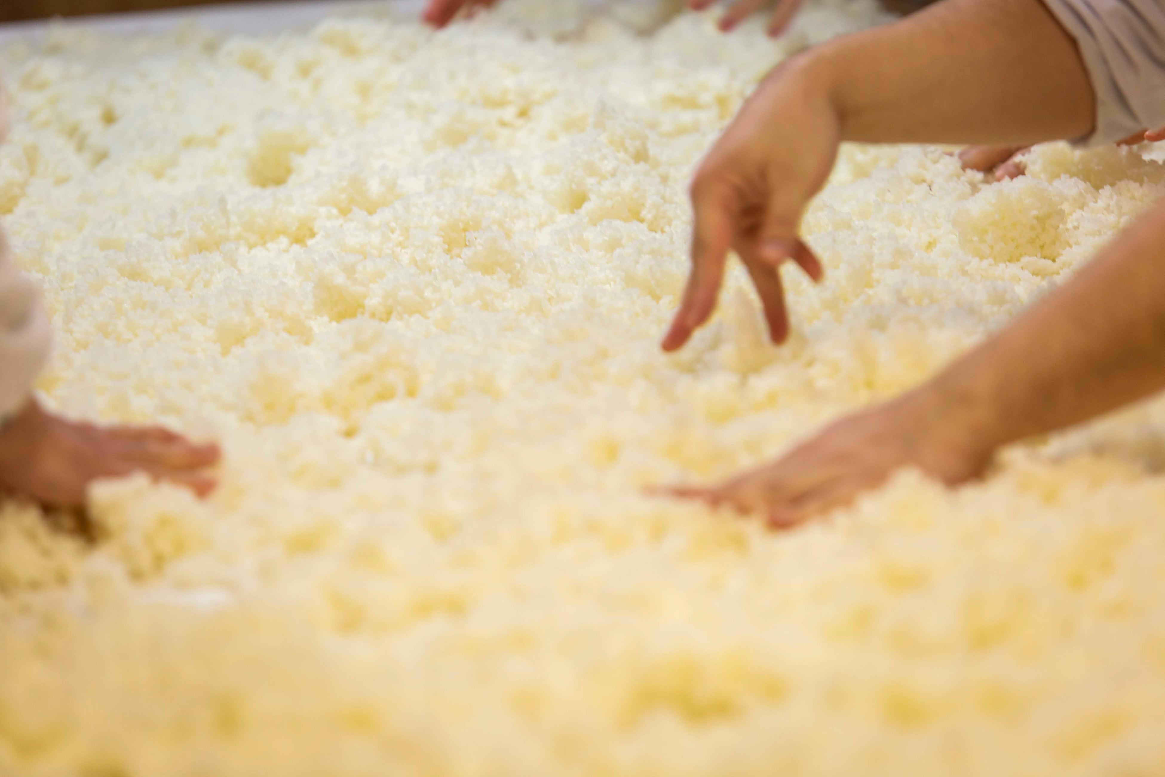 津南産の酒米「五百万石」でつくるテロワール日本酒