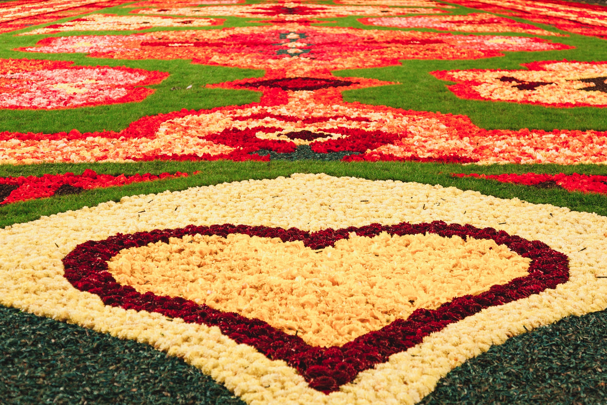 フラワーカーペットのイメージ