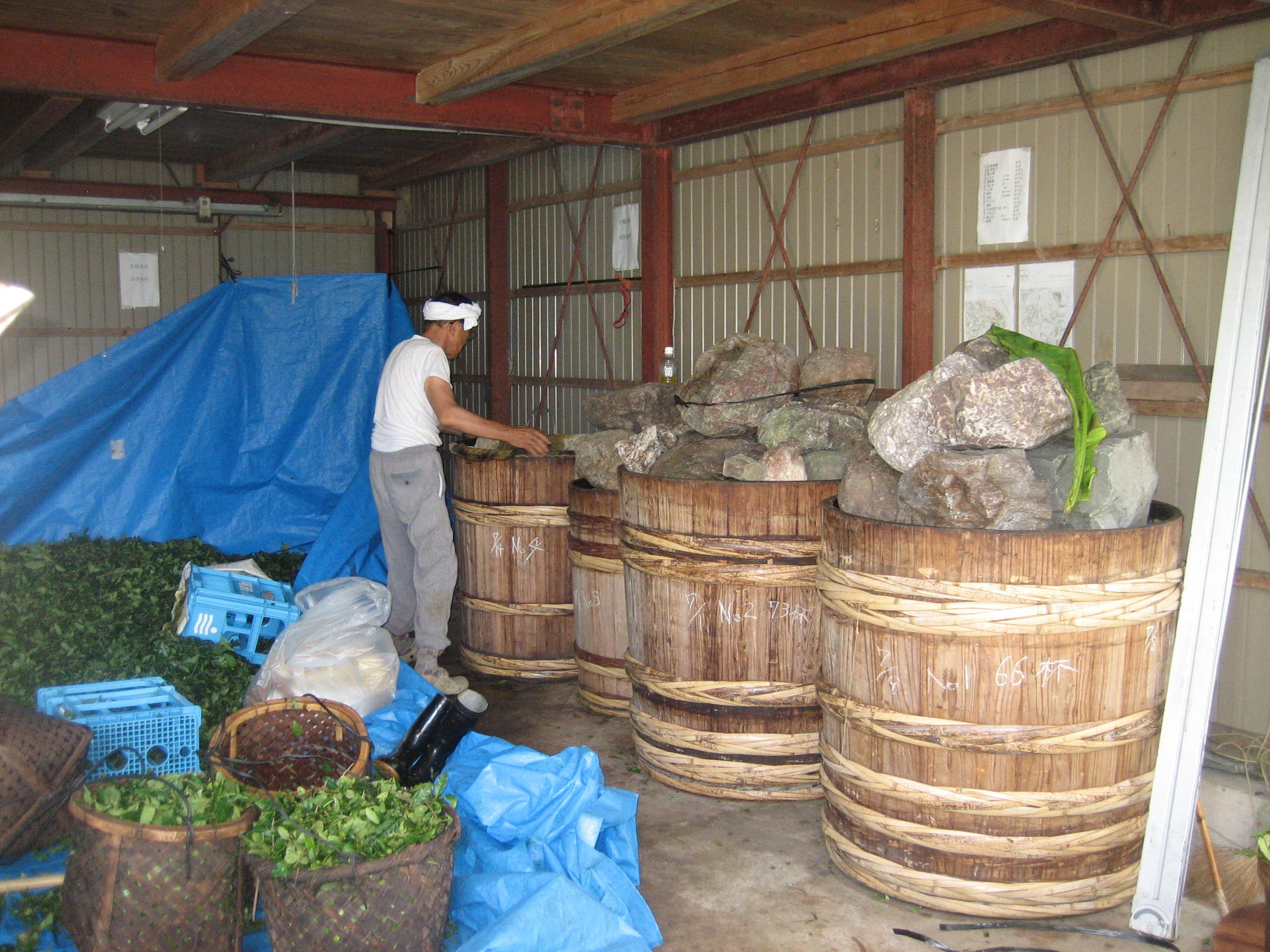 阿波晩茶の工程