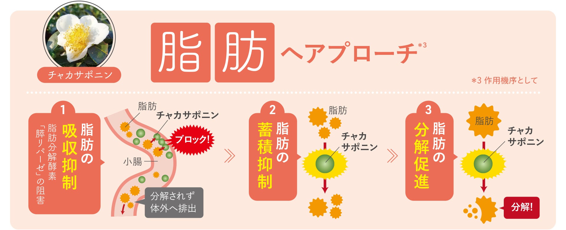 日本初※1の機能性表示食品「ヘルキュット」が誕生。4つの機能性