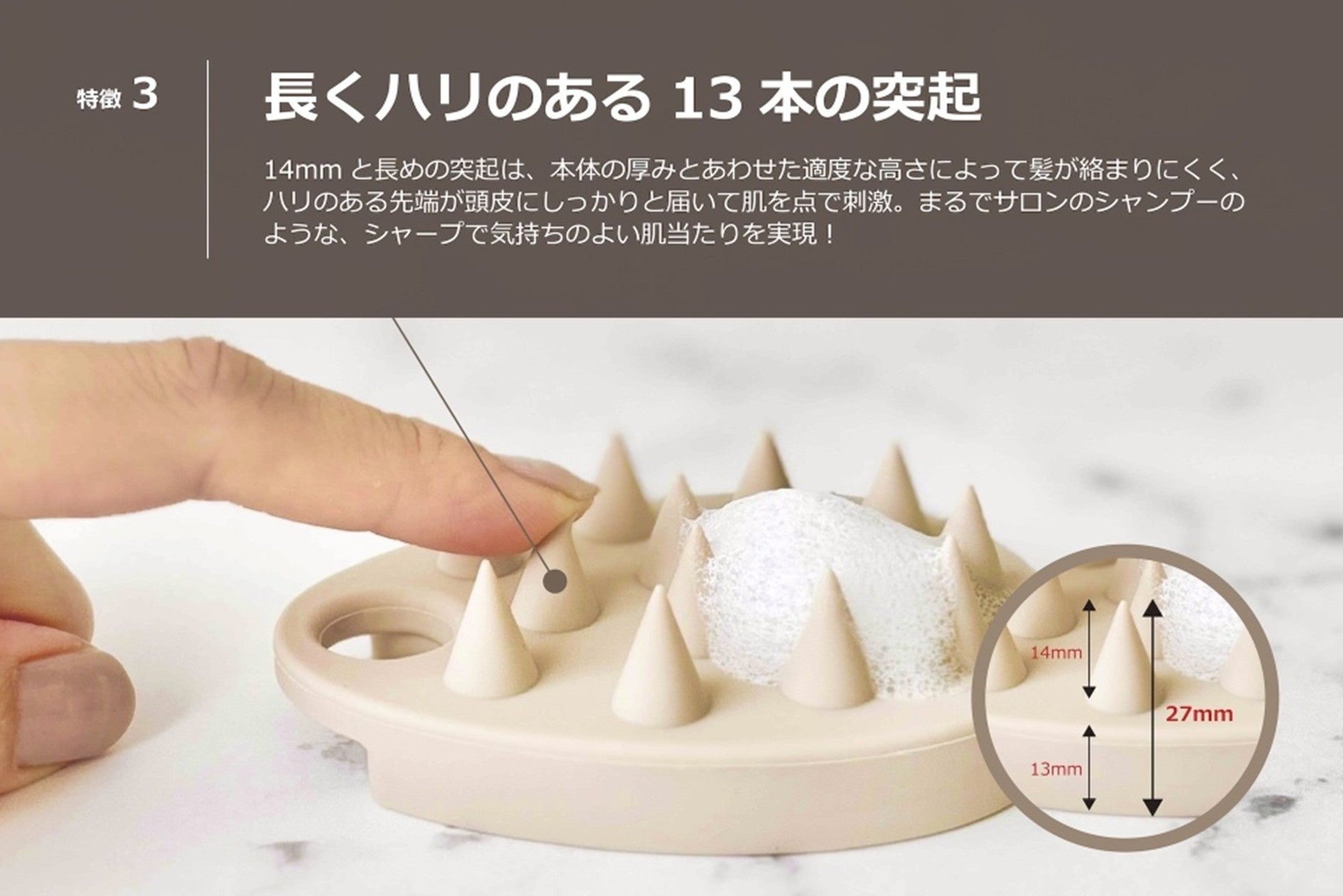 長くハリのある13本の突起