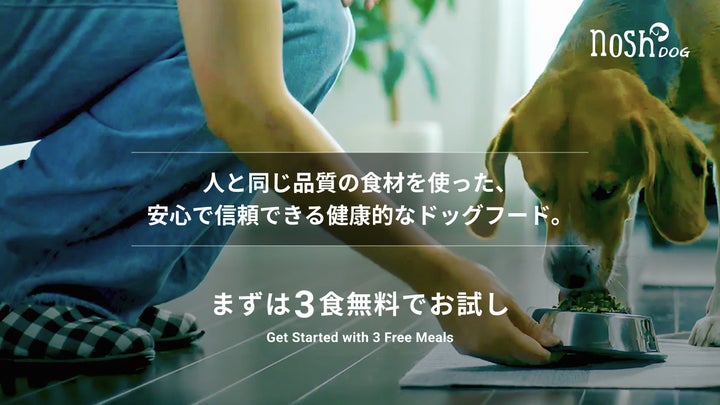nosh DOG、初回購入者を対象にした「3食分無料お試し」を10月17日(金 nosh DOG、初回購入者を対象にした「3食分無料お試し」を10月17日(金