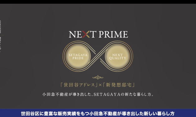 ウェビナーの様子