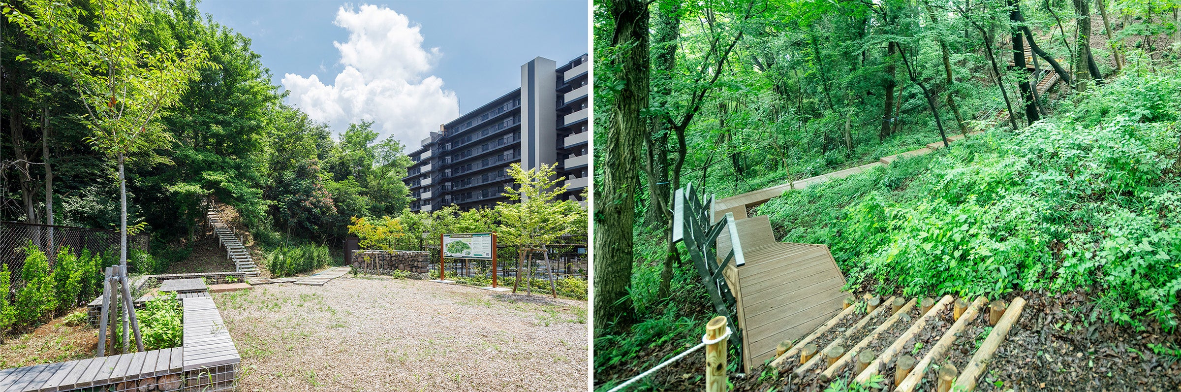 左）イベントもできる森の入口「コミュニティテラス　右）安全に散策が楽しめるウッドデッキ＆丸田階段