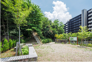 コミュニティテラス