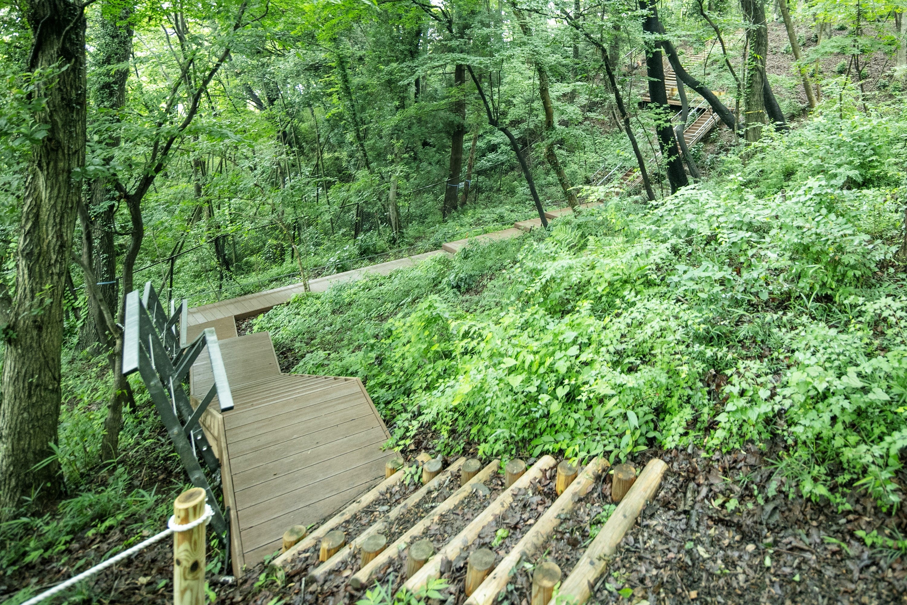 リーフィアレジデンス橋本　民有緑地