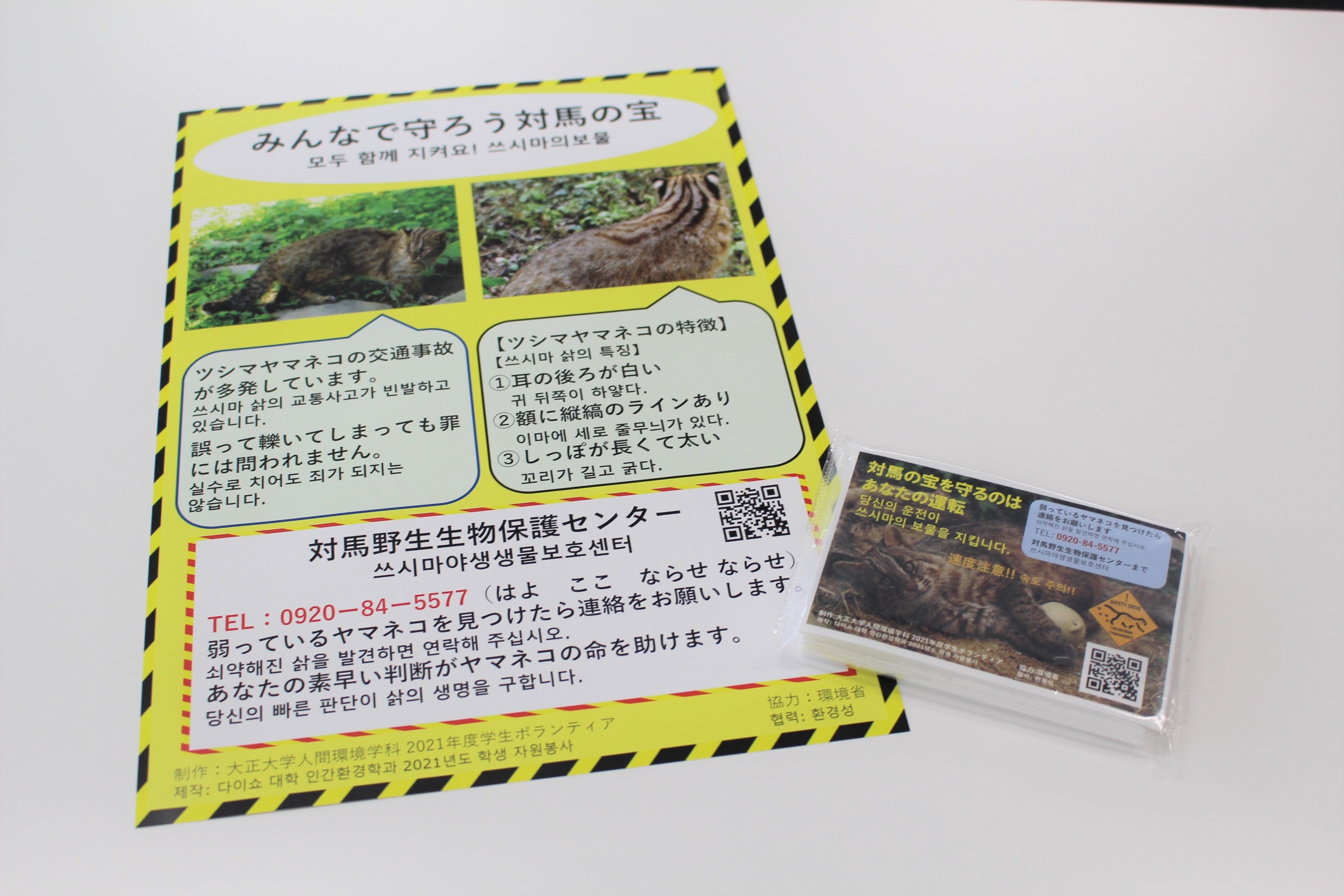 ツシマヤマネコ交通事故啓発チラシとティッシュ.