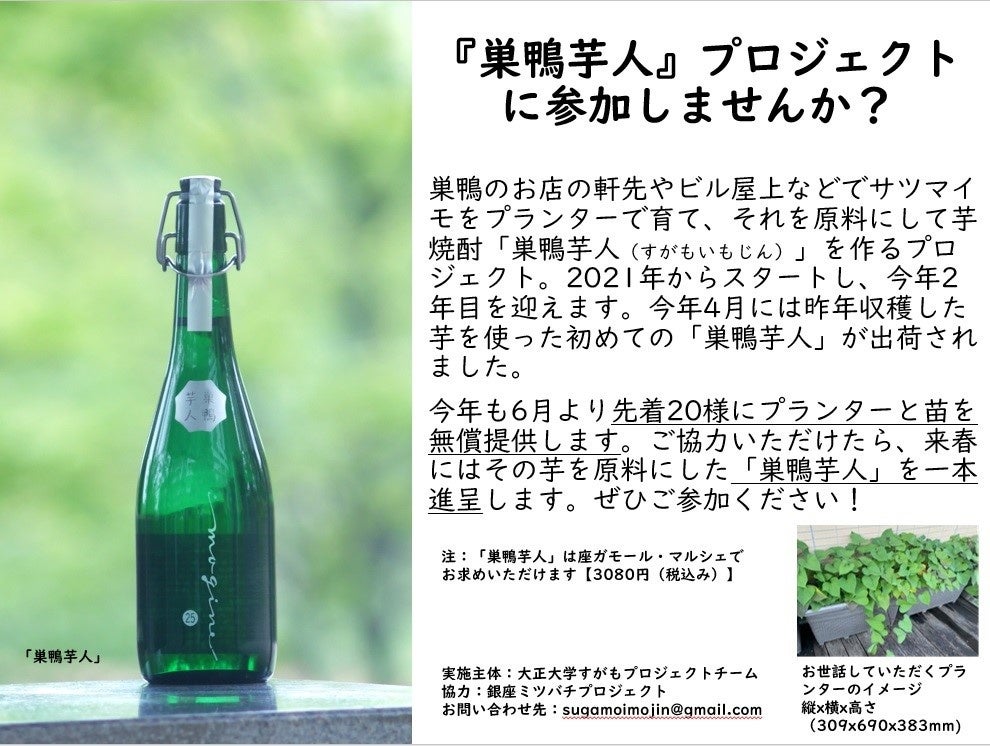 産学連携〉巣鴨で育った芋が焼酎に！！ | 学校法人 大正大学のプレス