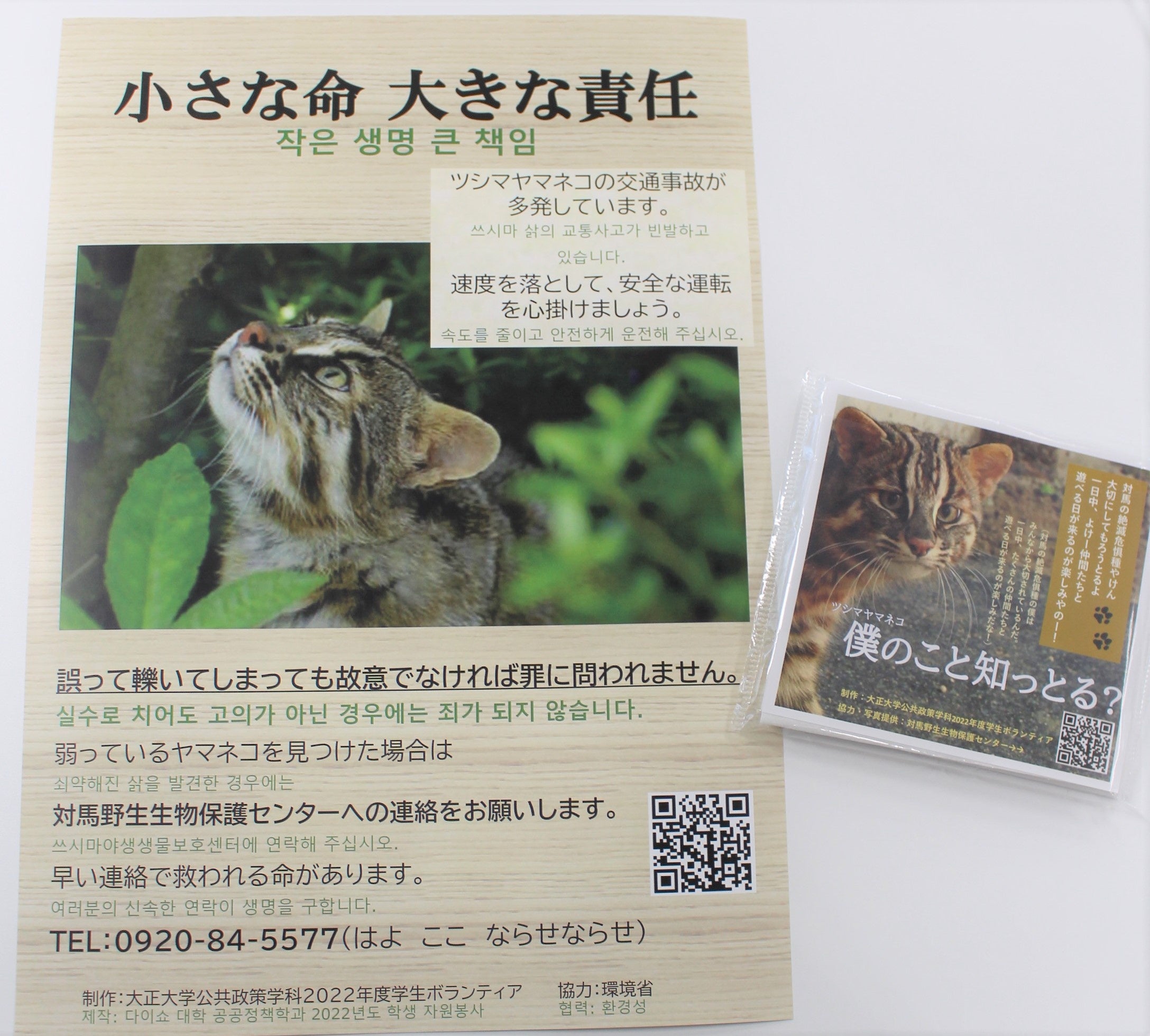 「ヤマネコ祭2022」当日に配布するポケットティッシュとポスター。 ツシマヤマネコを知ってもらうための工夫が凝らされています　　