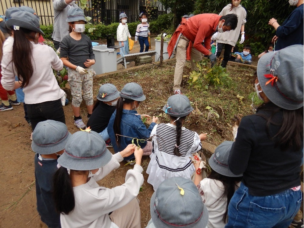 11月1日（火）、豊島区立朝日小学校2年生の都市型農業授業の風景