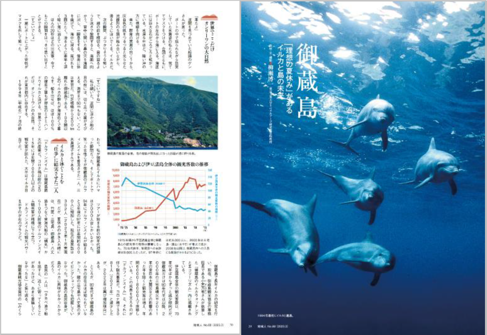 イルカと泳ぐことができる。世界でここだけ、オンリーワンの大自然がある御蔵島。