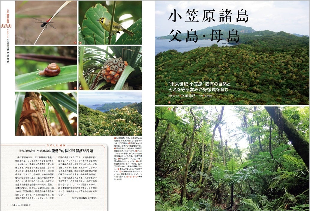 世界自然遺産に登録された小笠原諸島では、固有の動物を守る取り組みを行っている。世界自然遺産に登録された小笠原諸島では、固有の動物を守る取り組みを行っている。