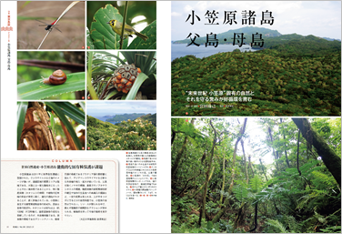 世界自然遺産に登録された小笠原諸島では、固有の動物を守る取り組みを行っている。