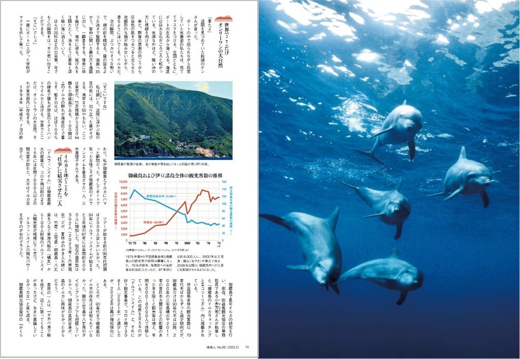 イルカと泳ぐことができる。世界でここだけ、オンリーワンの大自然がある御蔵島。