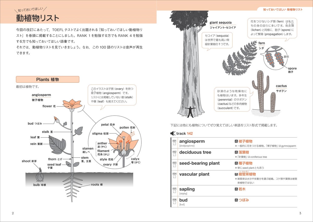 『TOEFLテスト英単語3800 5訂版』別冊 p.2-3