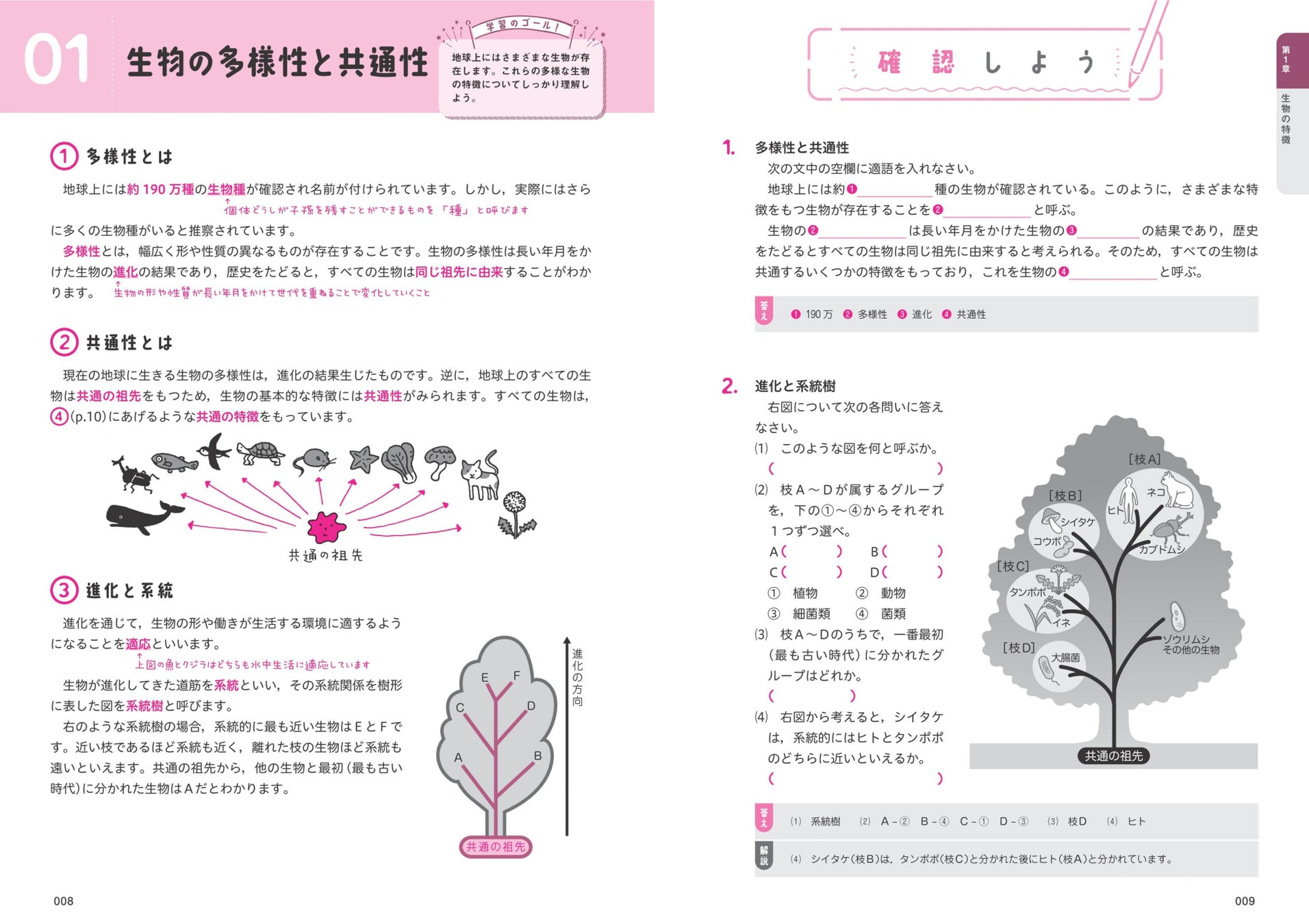 基礎の基礎がよくわかる 高校とってもやさしい シリーズ 2月18日刊行 22年4月からの 高等学校 新学習指導要領対応 株式会社旺文社のプレスリリース 基礎の基礎がよくわかる 高校とってもやさしい シリーズ 2月18日刊行 22年4月からの 高等学校 新学習指導要領対応 株式会社旺文社のプレスリリース