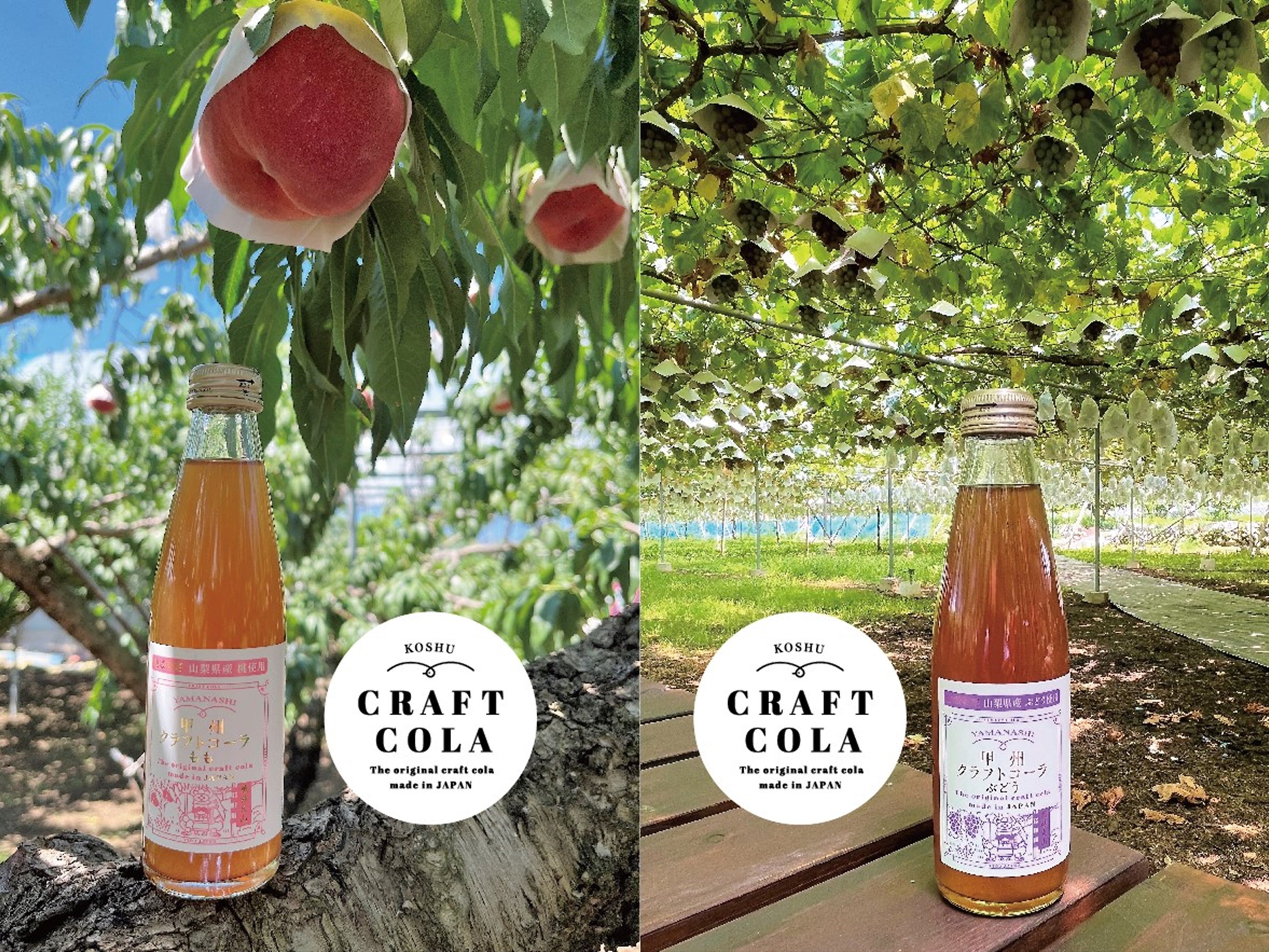 甲州クラフトコーラ （もも・ぶどう・ゆず・くわの葉）　各580円